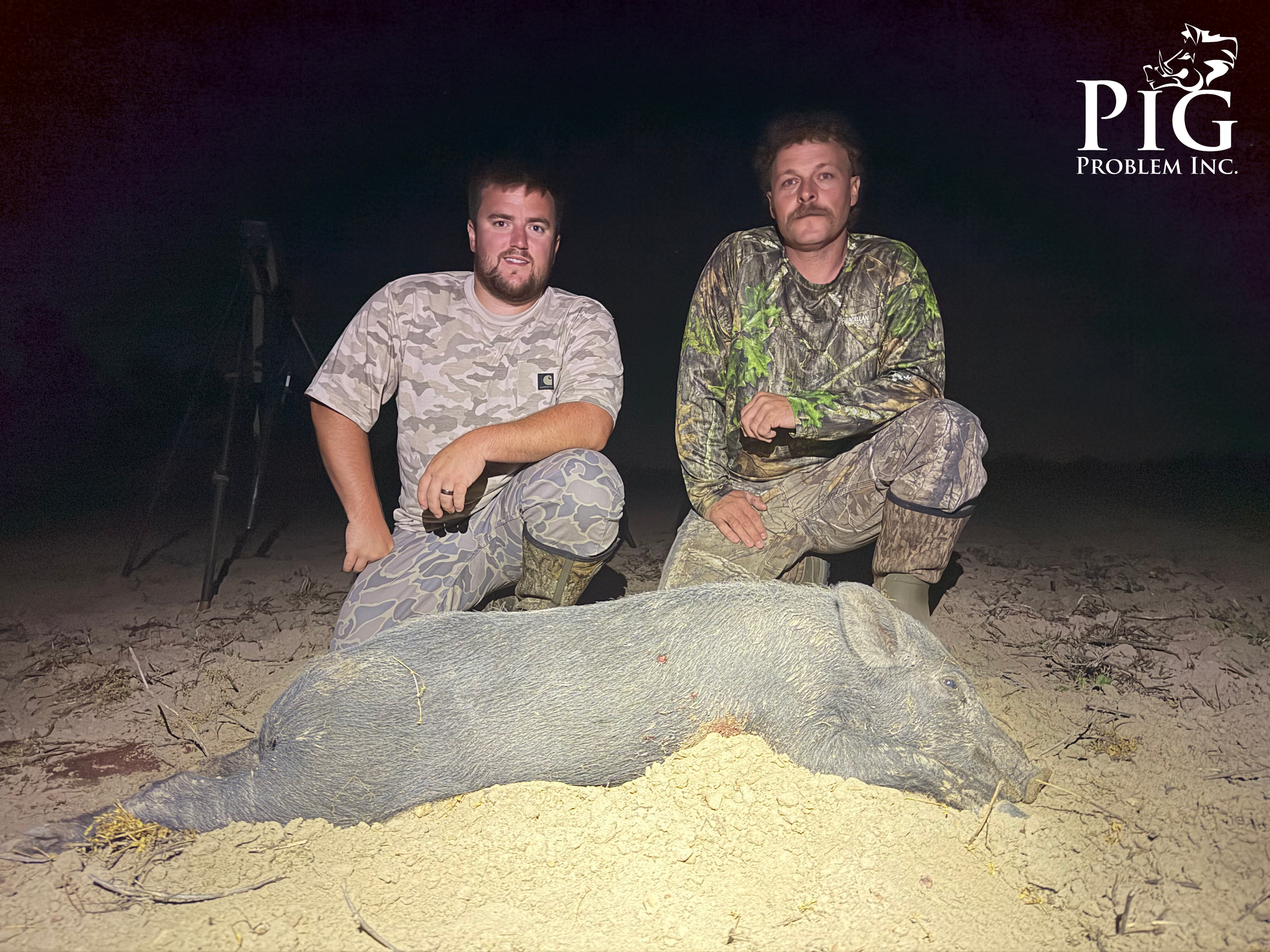 Hog Hunts In Georgia