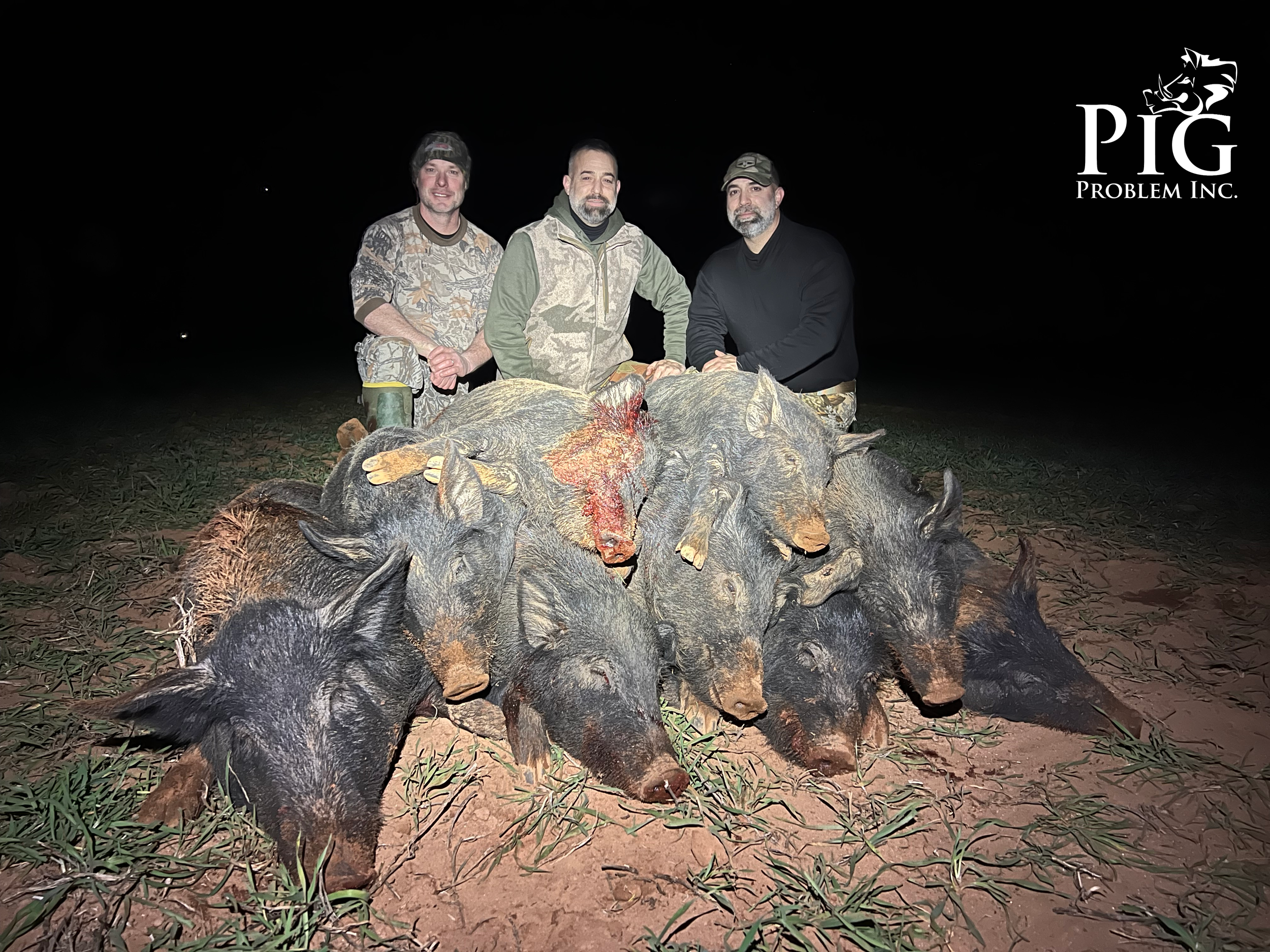 Sounder of Wild Hogs!!