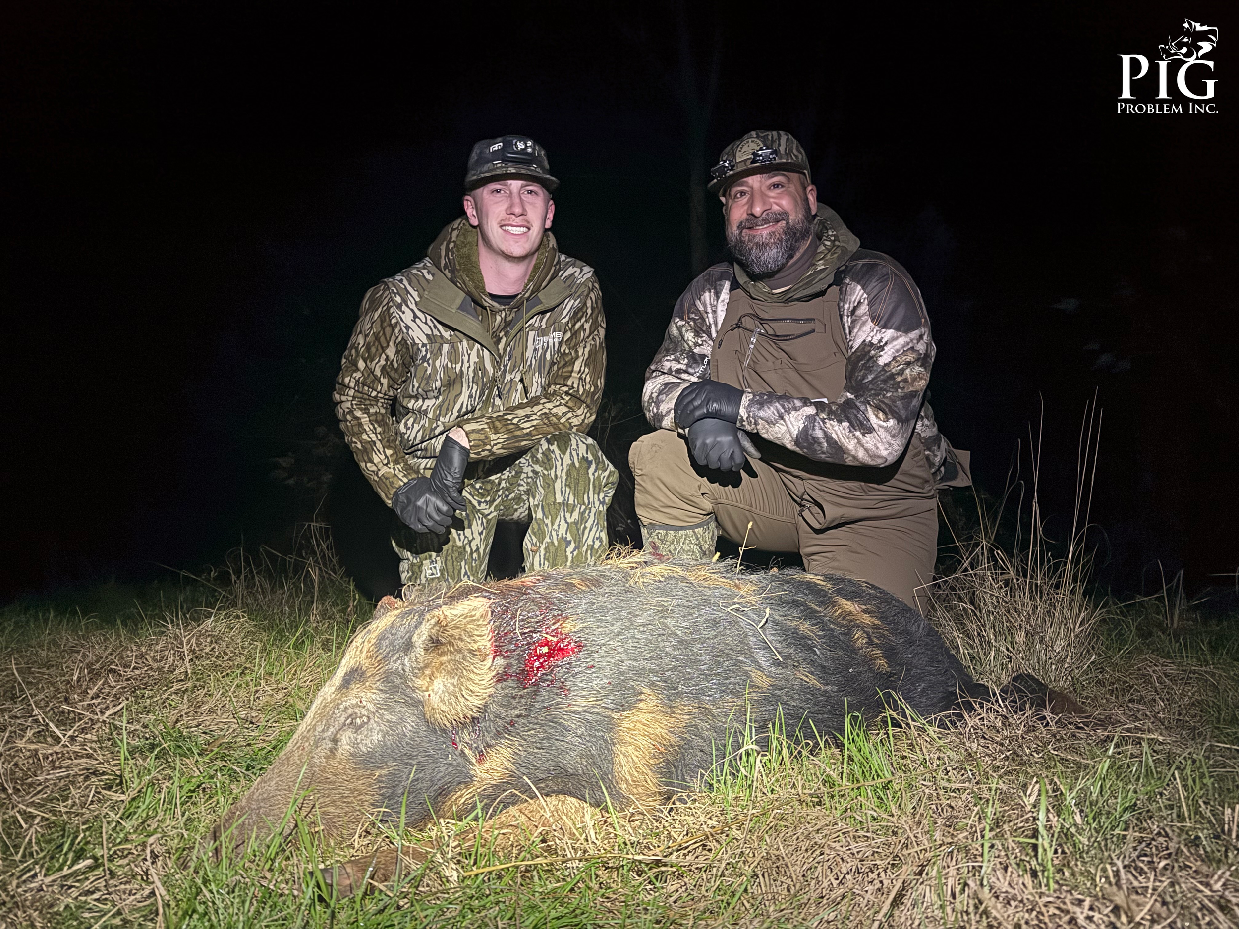 Guided Hog Hunting