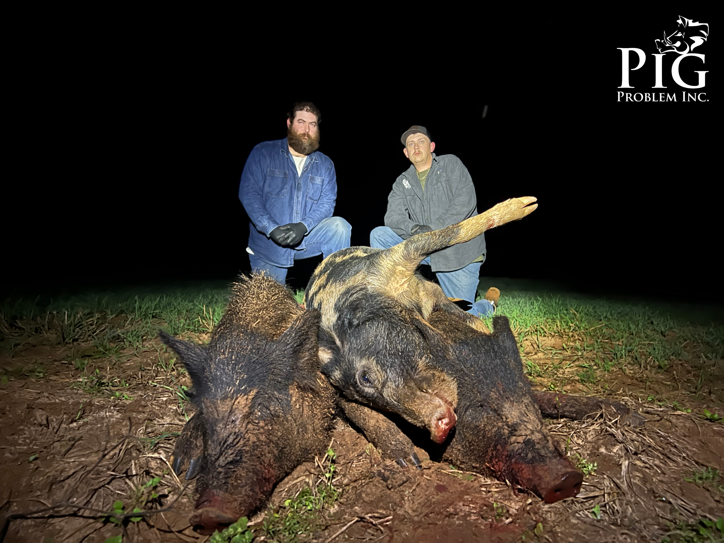 Best Hog hunting In Georgia