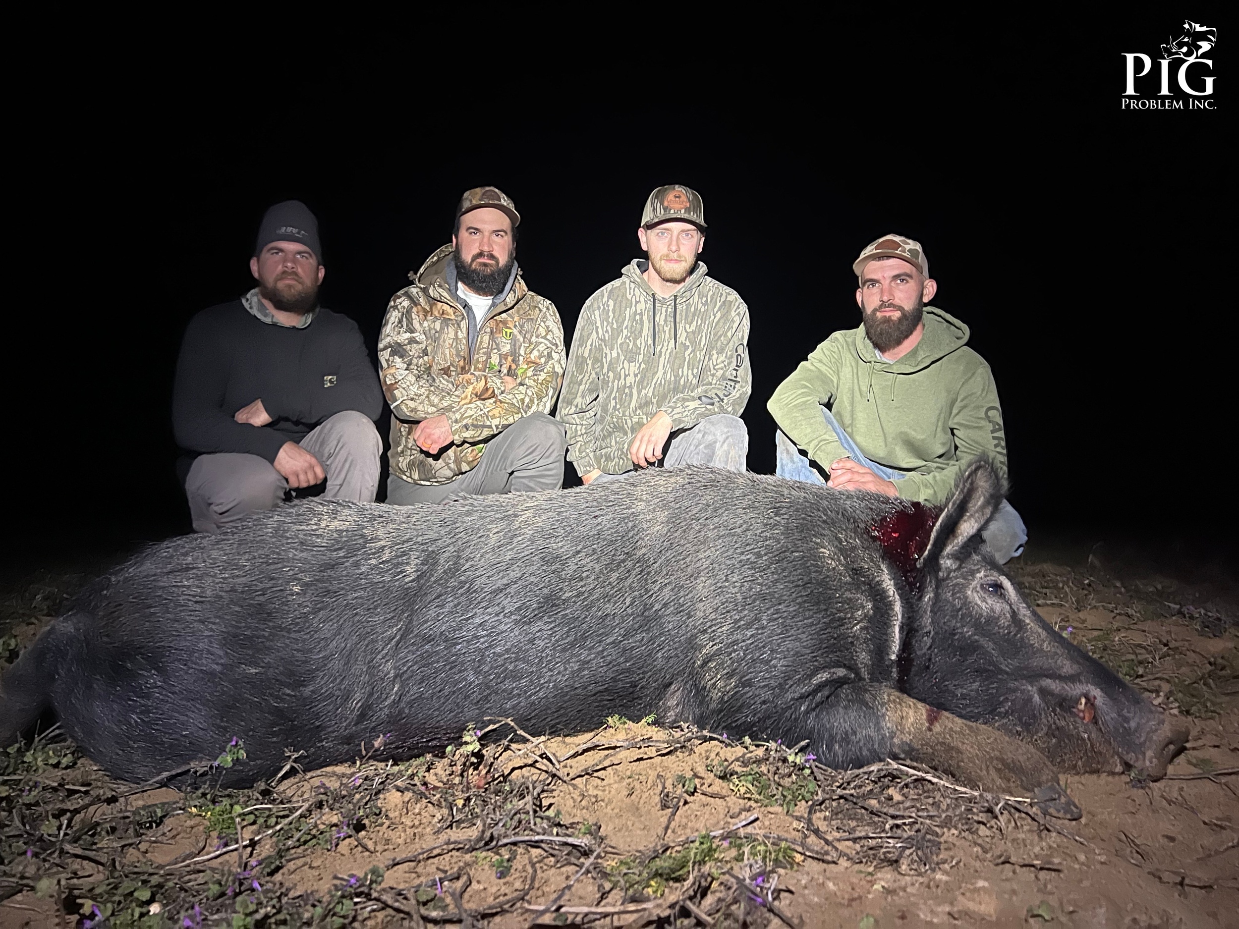 Guided Hog Hunting