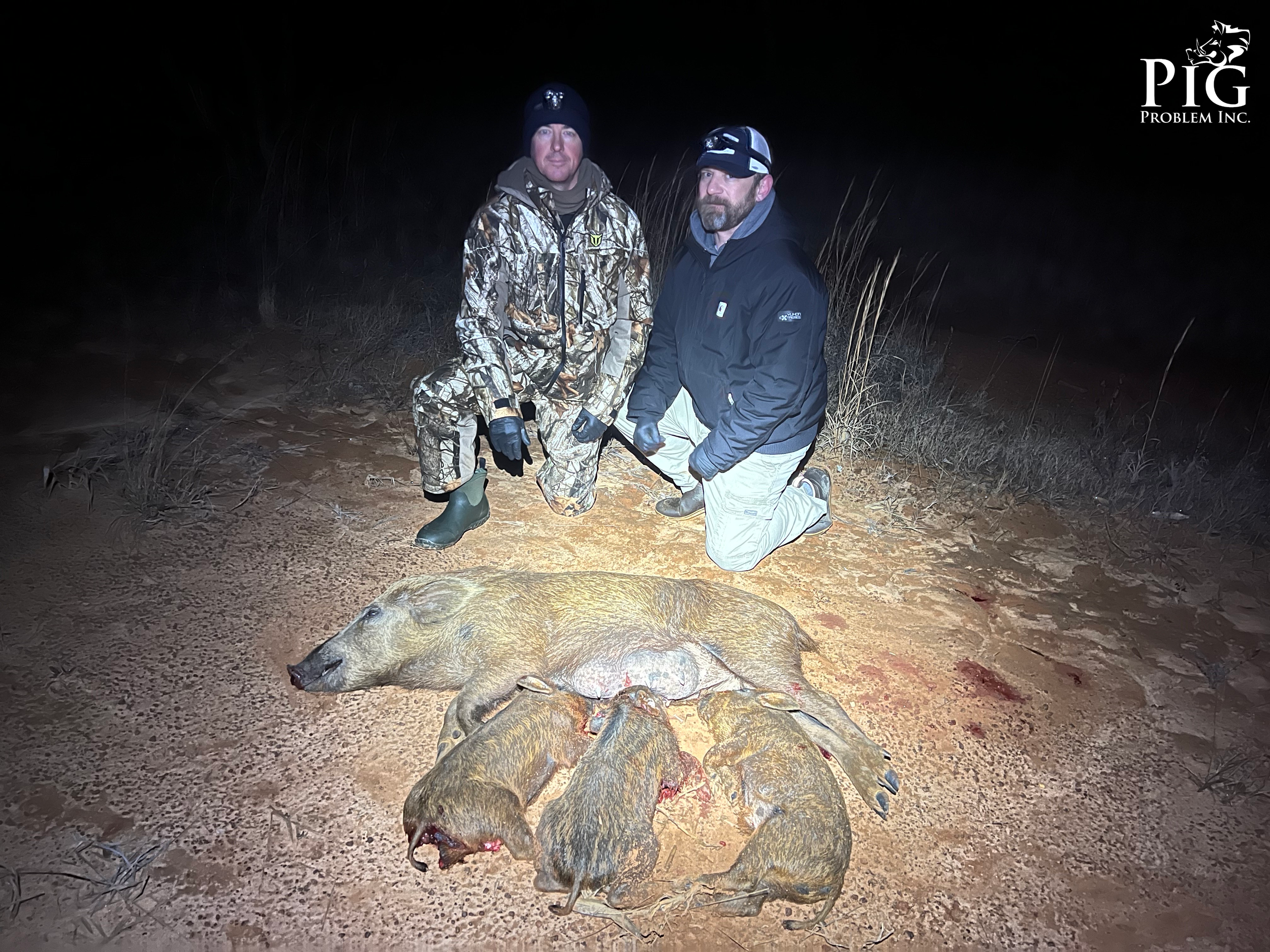 Guided Hog Hunting