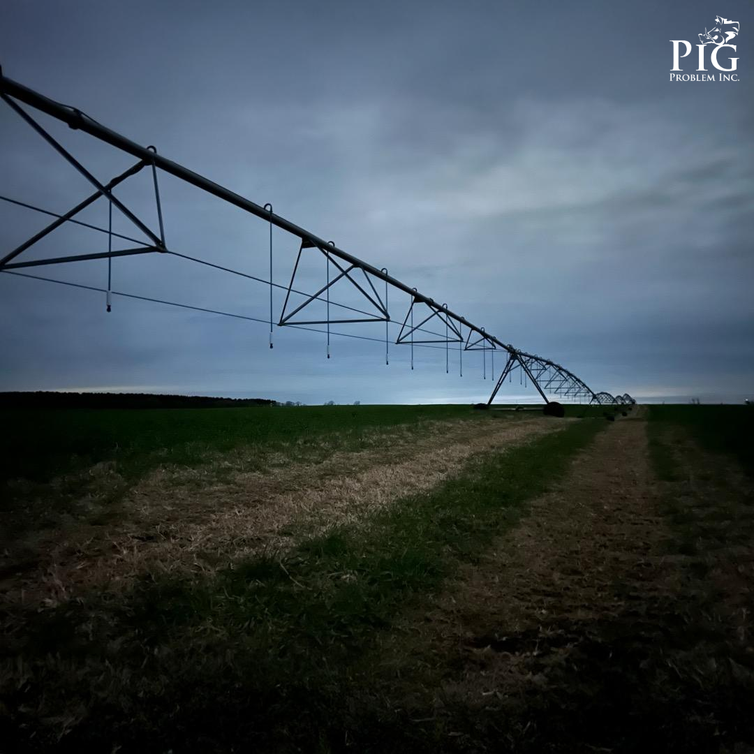 South Georgia Farm Field