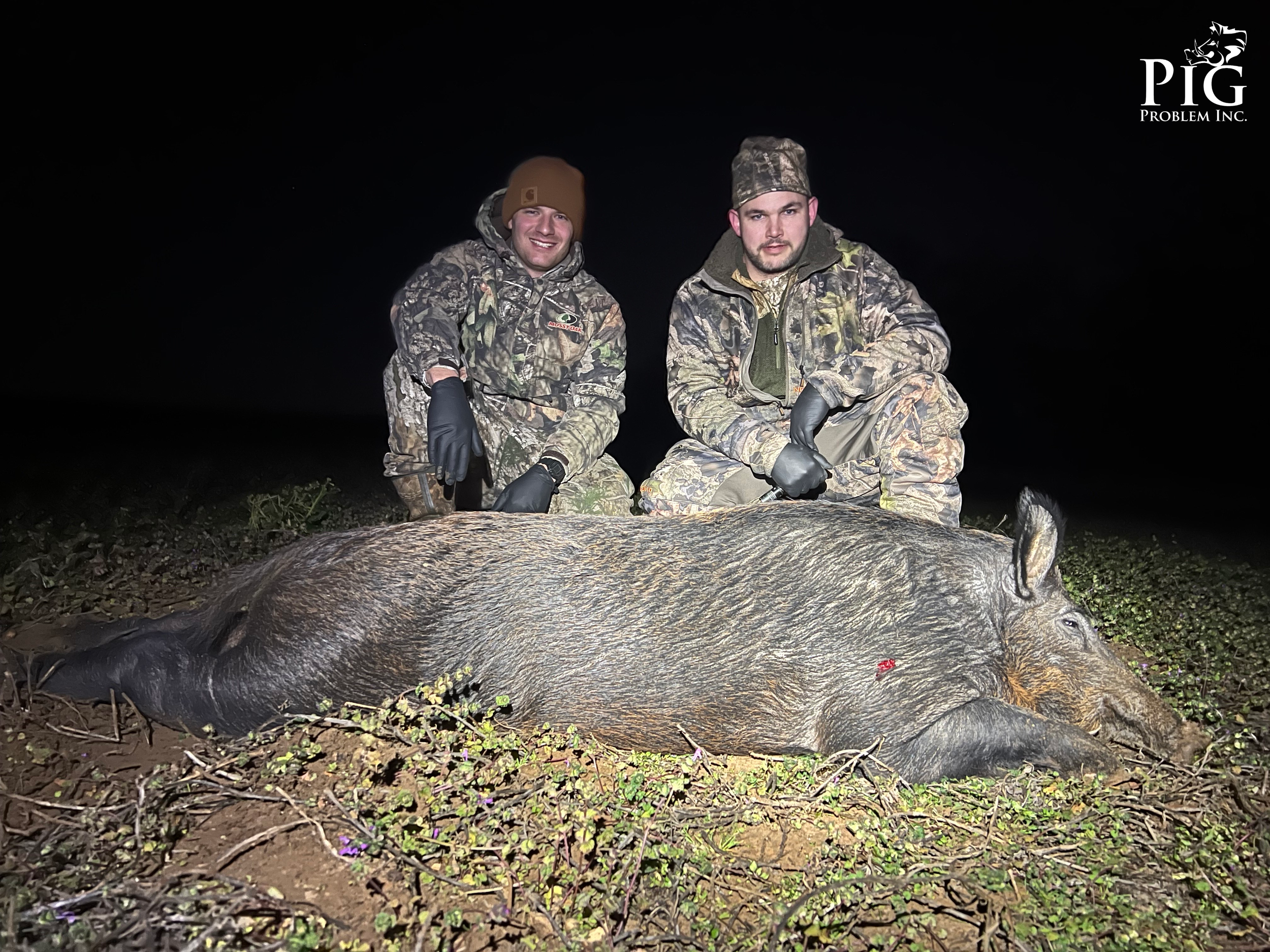 Guided Hog Hunting