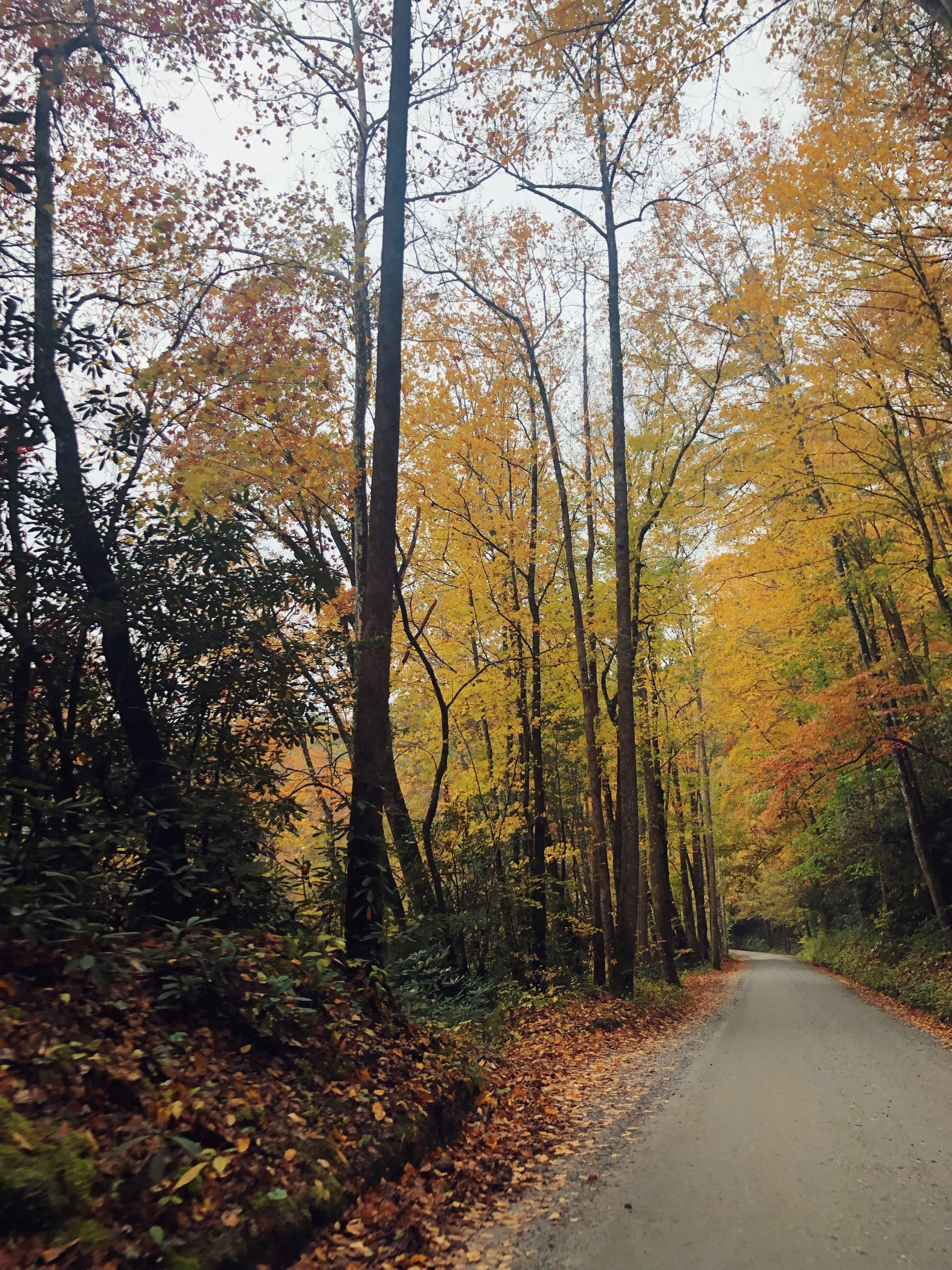 hemlock house-0037.jpg