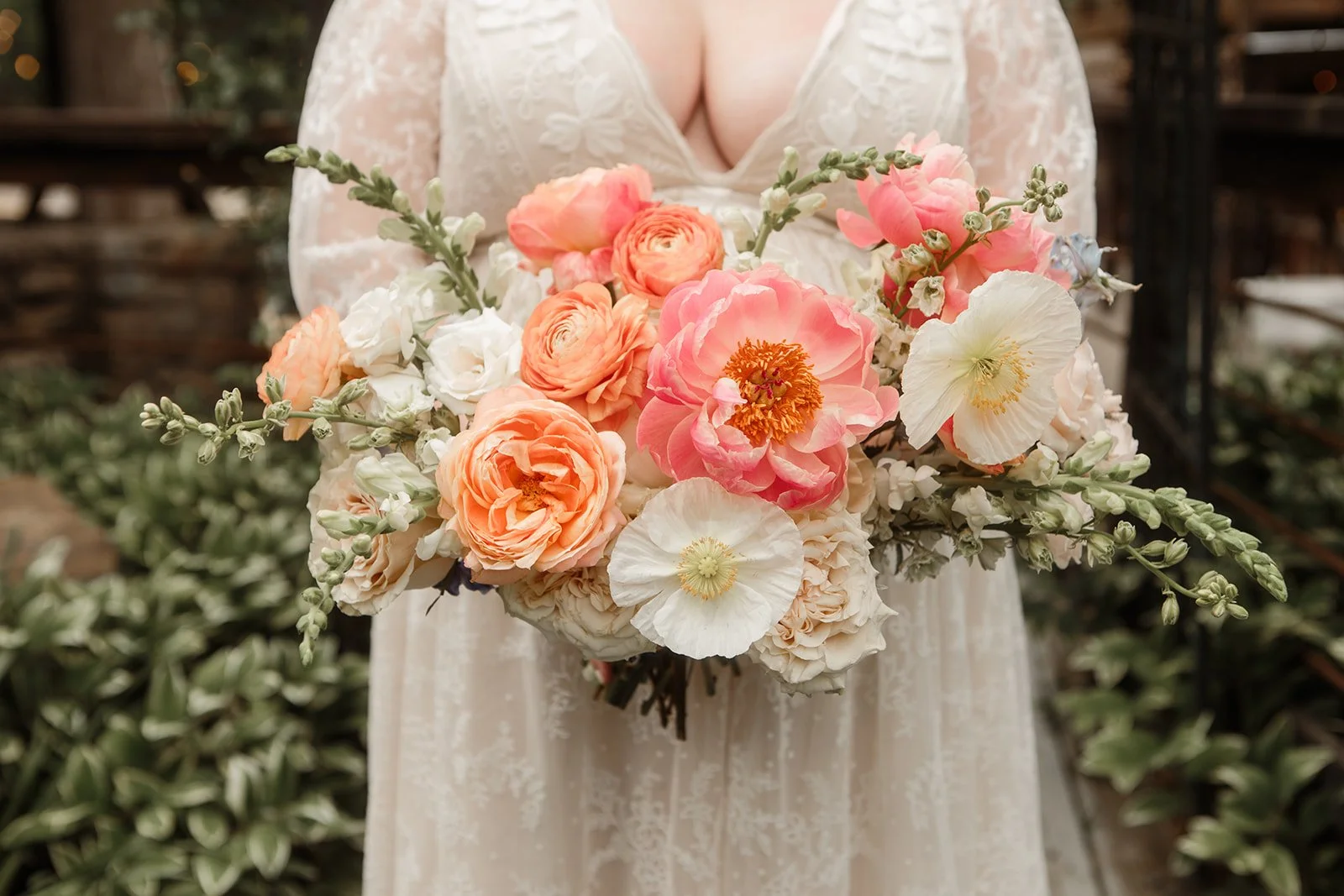 Flightless Bird Photography 