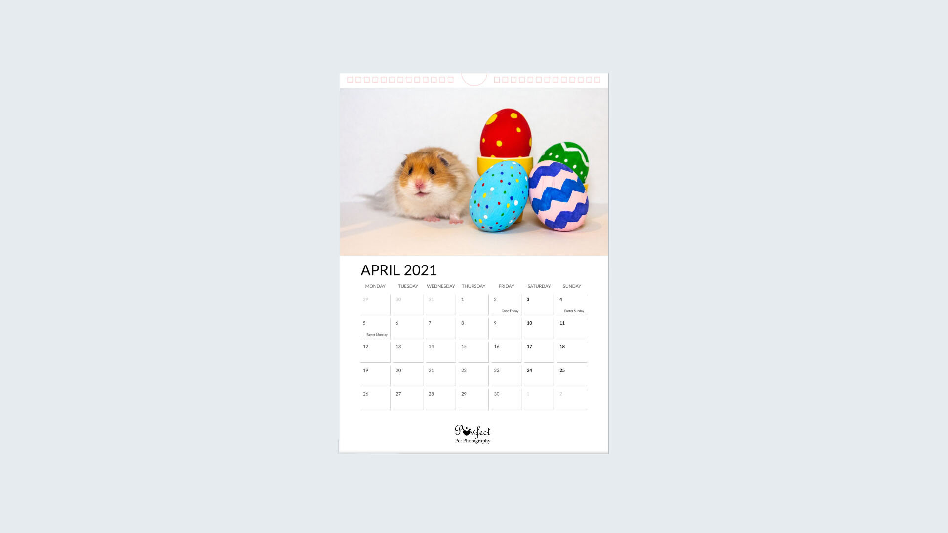 Hamster 2021 Calendar