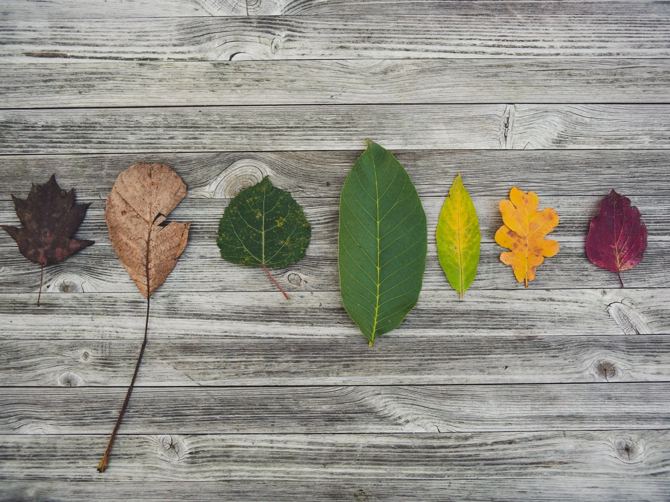 Introduction to estate planning and inheritance tax