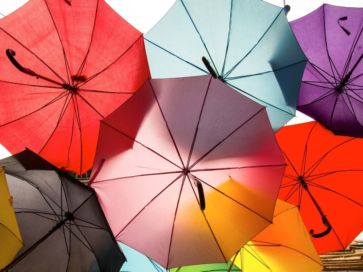 Do you have income protection in place?