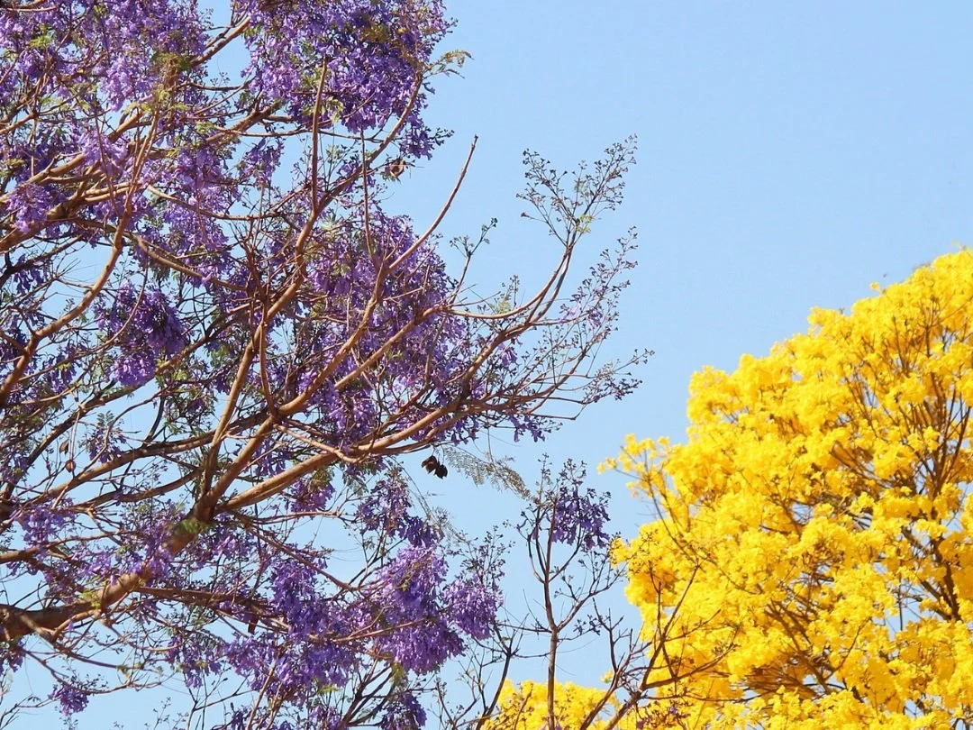 Spring Statement 2025: Will more tax changes be announced?