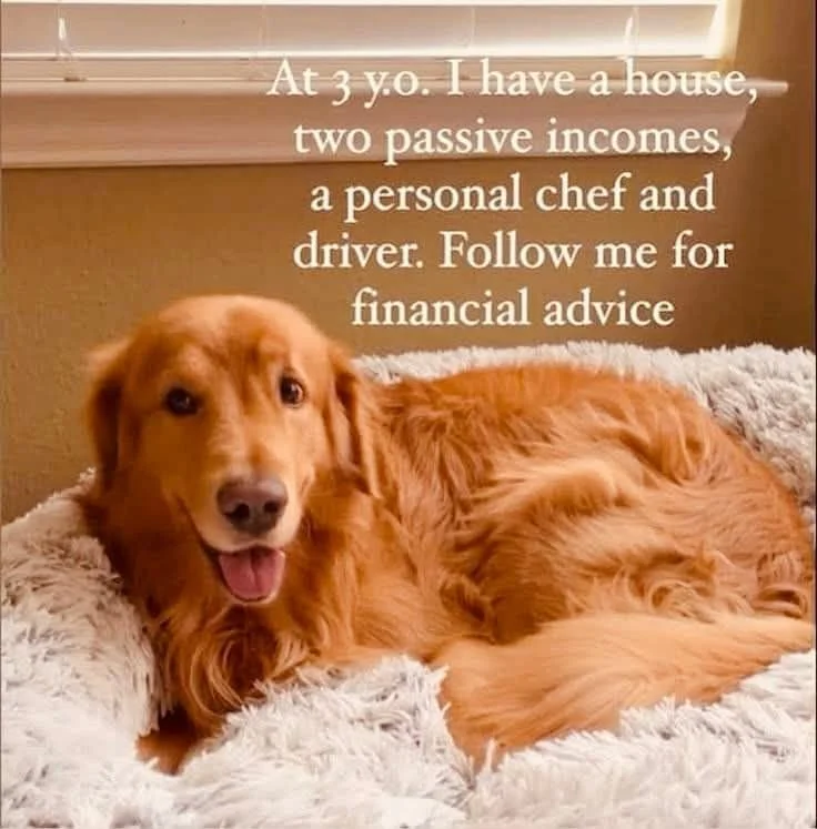 We have limited availability for self assessments now, DM if you are fed up with last minute submissions or you have more complex affairs this year, hopefully we can help 🐕🐾

Mirandus Accountants in Edinburgh