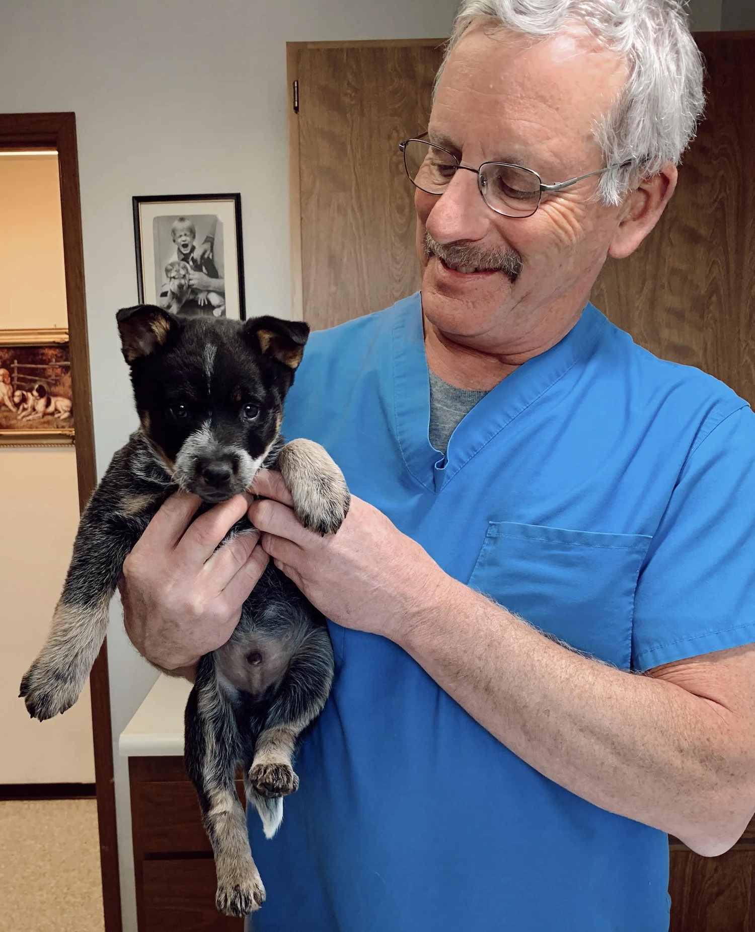 Meet The Staff — Davenport Veterinary Clinic