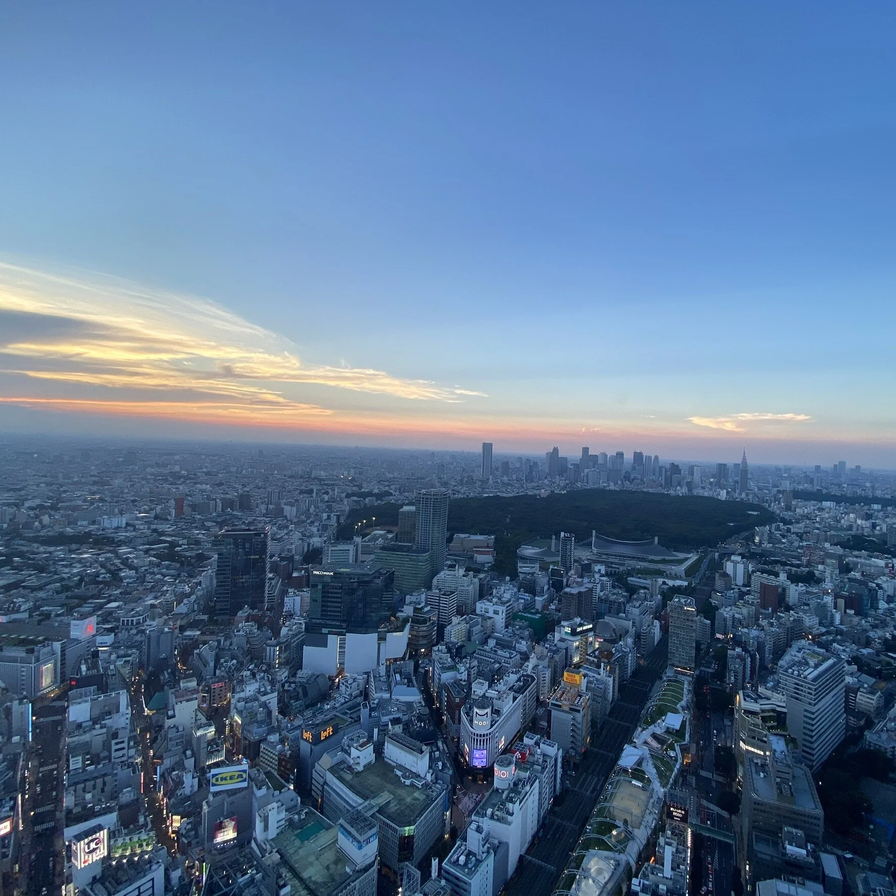 渋谷おすすめスポット