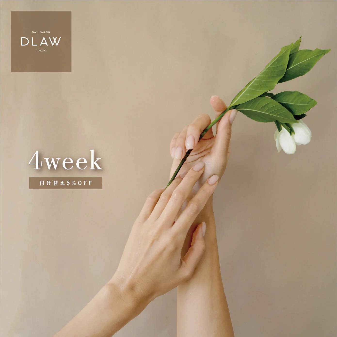 DLAWの新しいサービスが始まりました！