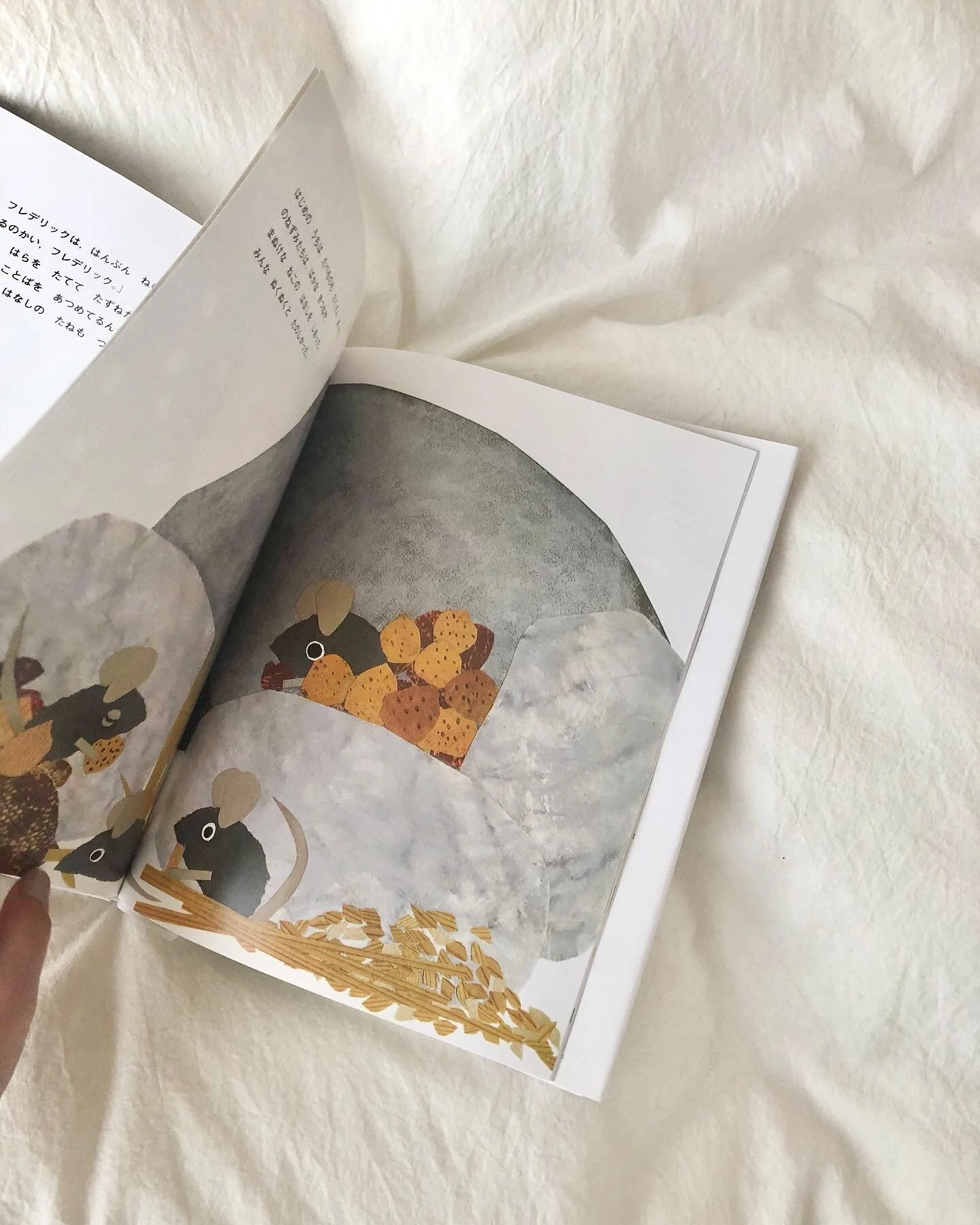 お気に入りの絵本