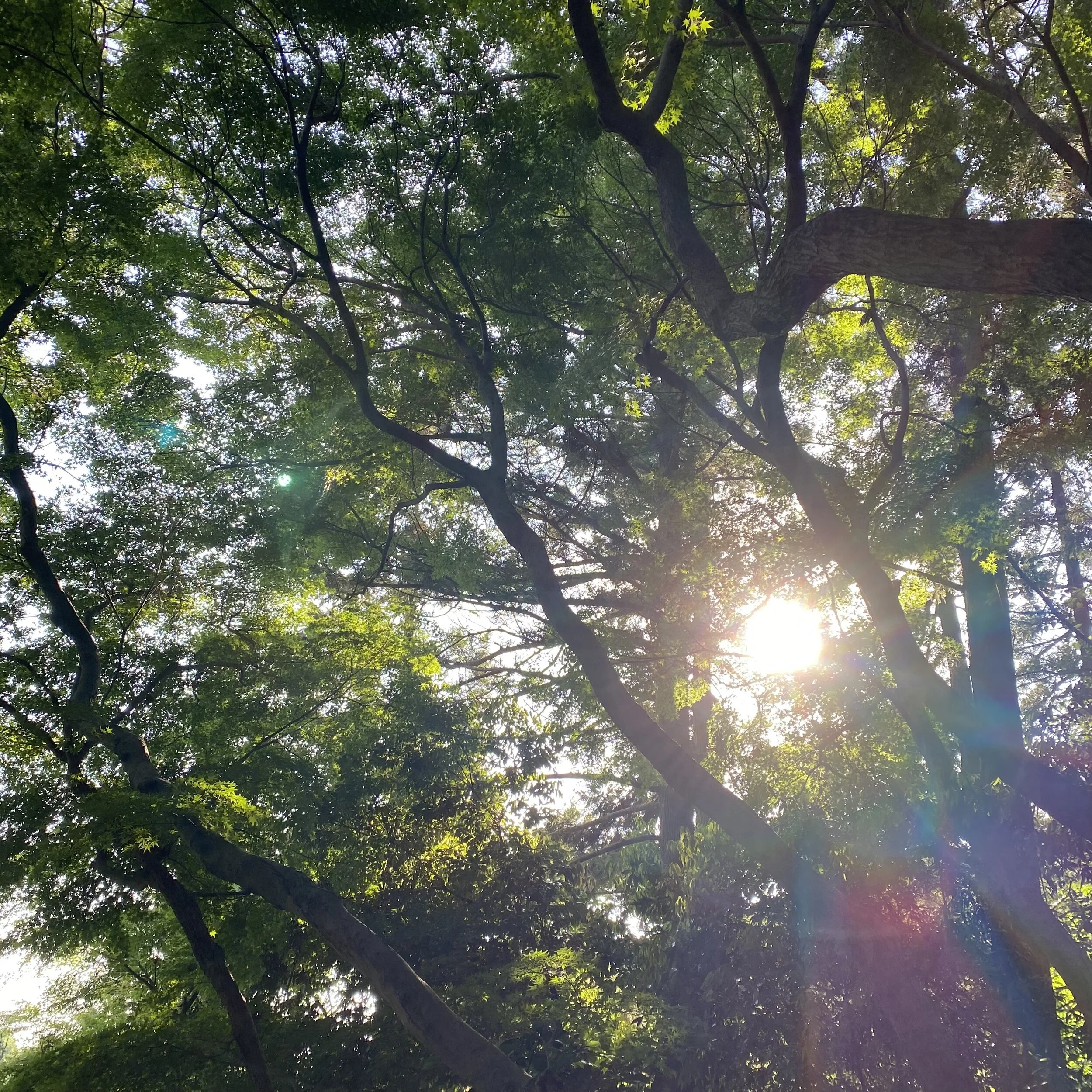 インスピレーション