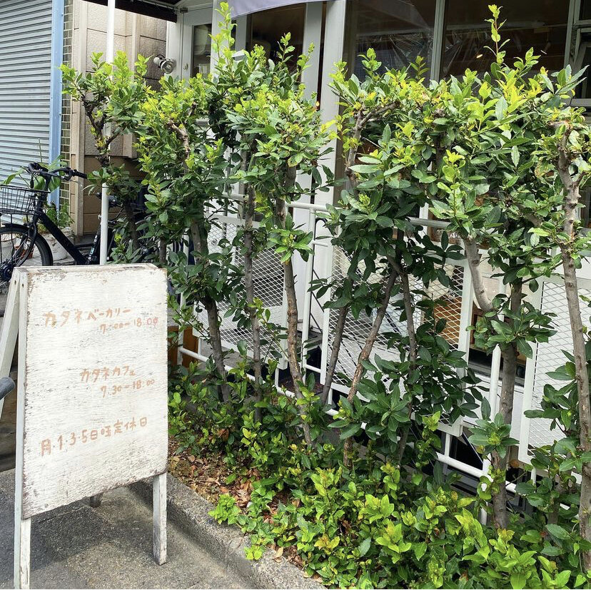 ネイリストの朝