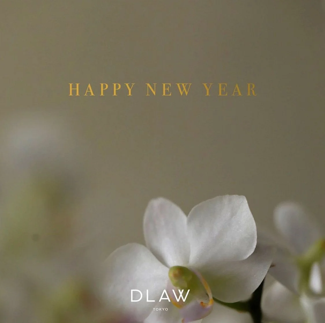 新年あけましておめでとうございます。