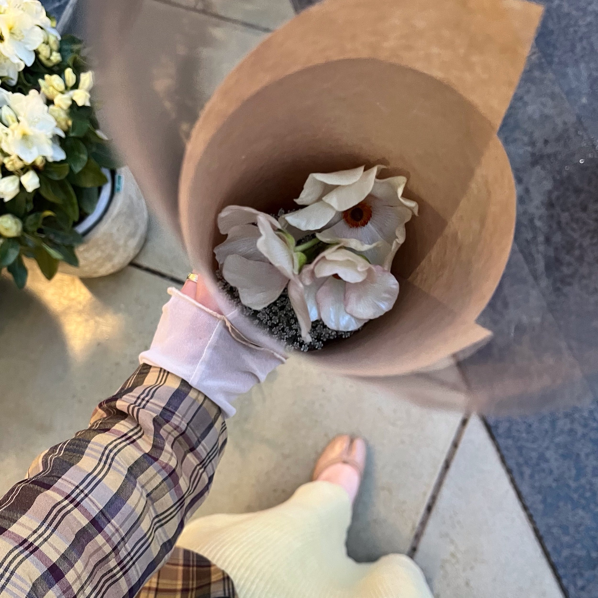 お花屋さんに🌼