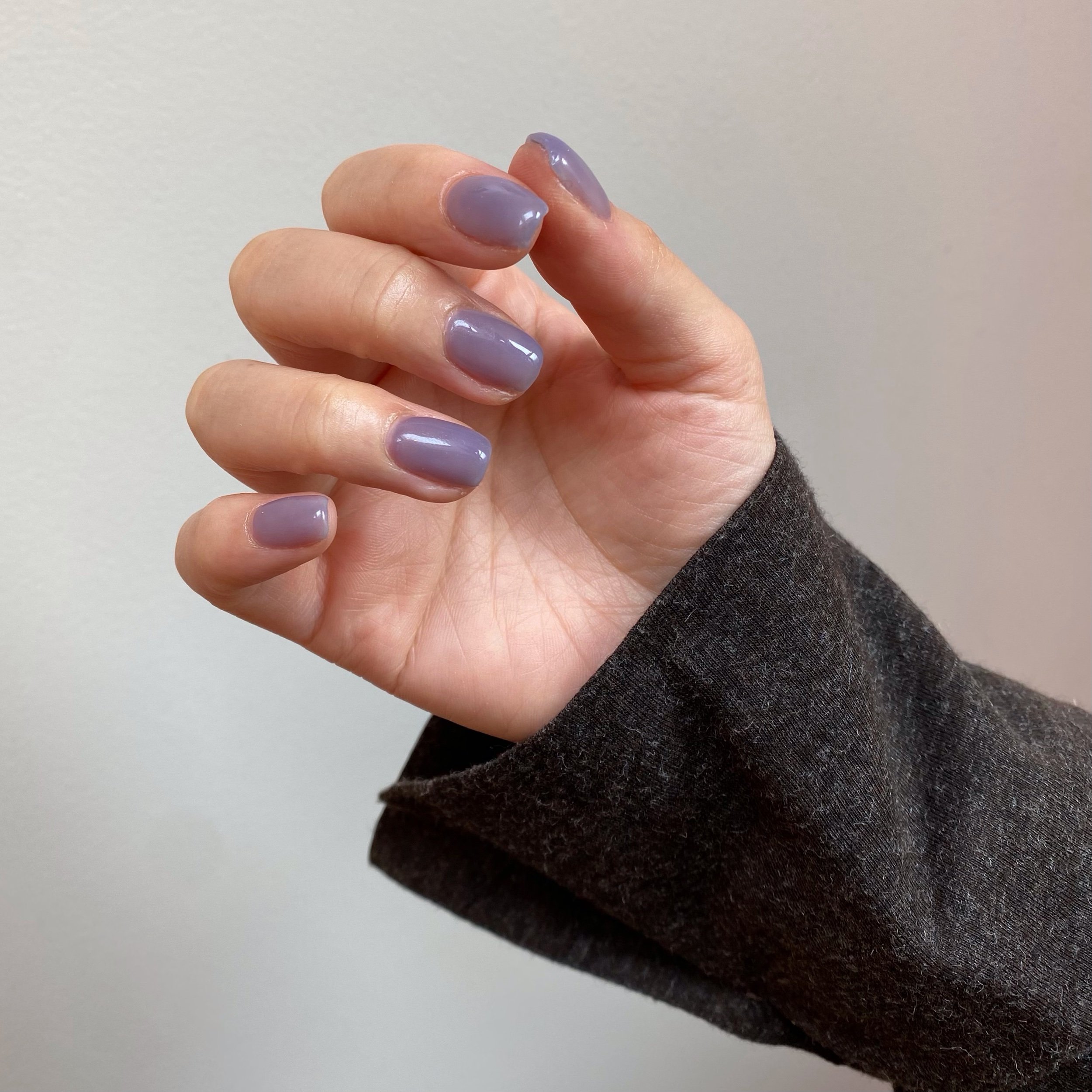 ワンカラーモデル