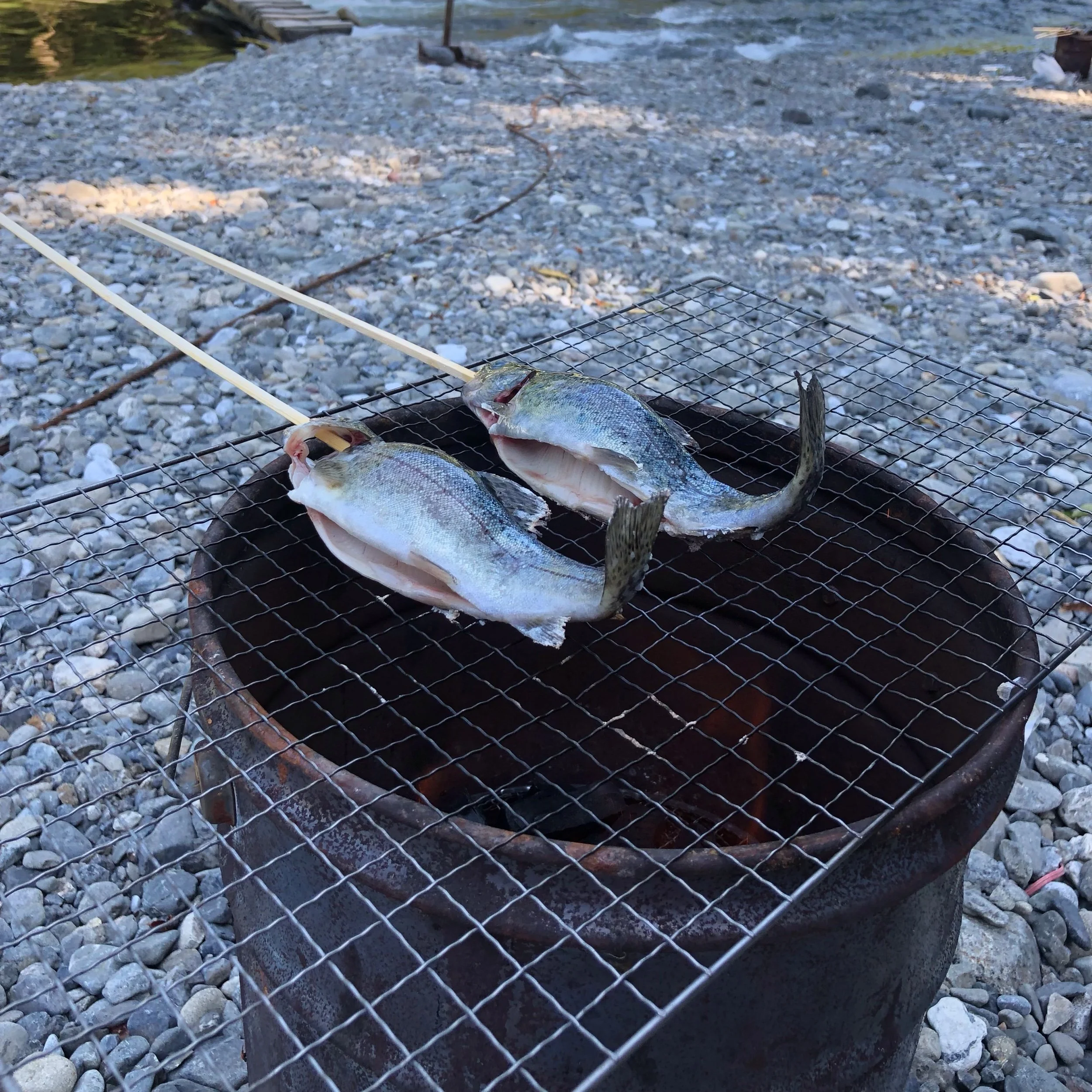 夏を感じました