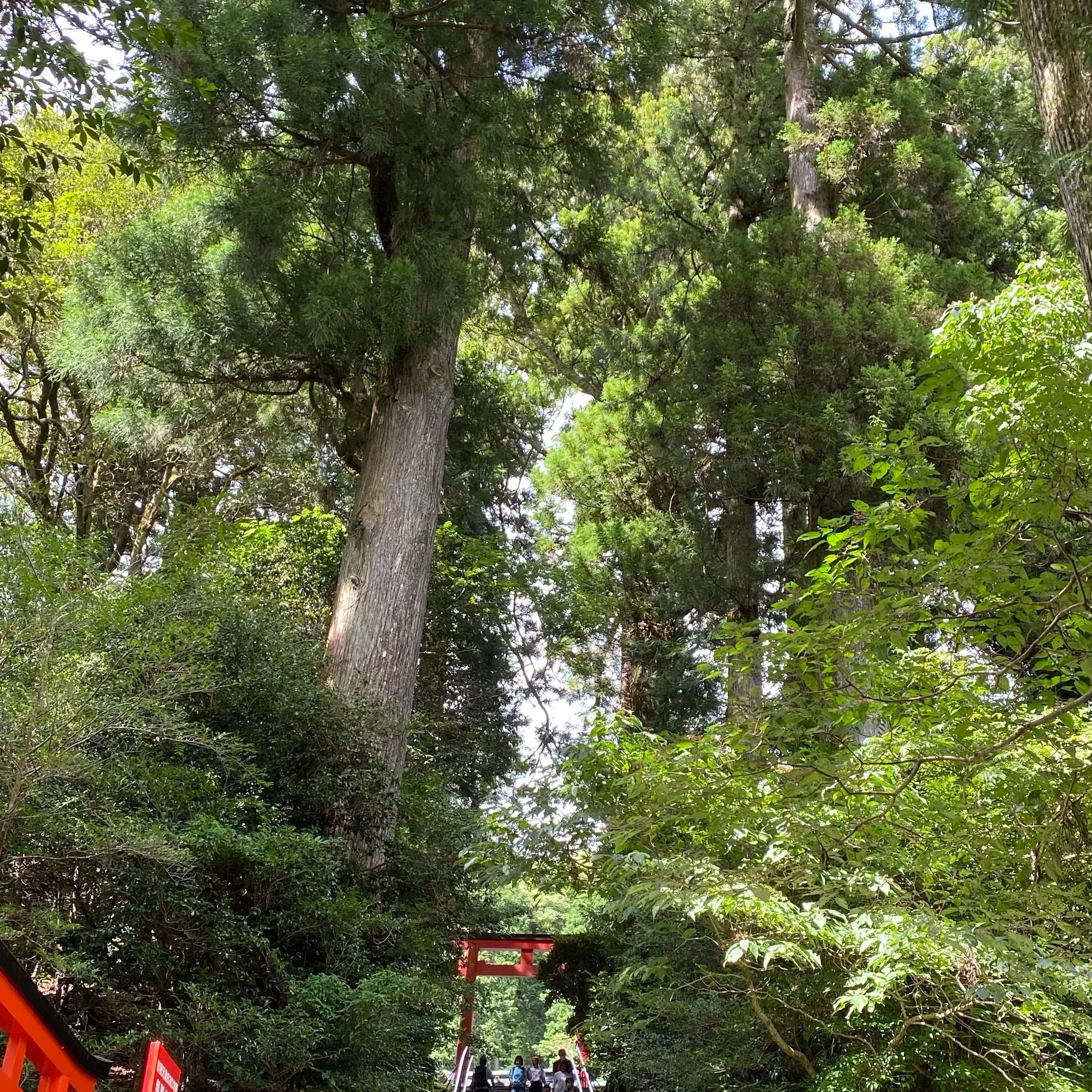 夏の終わり旅行
