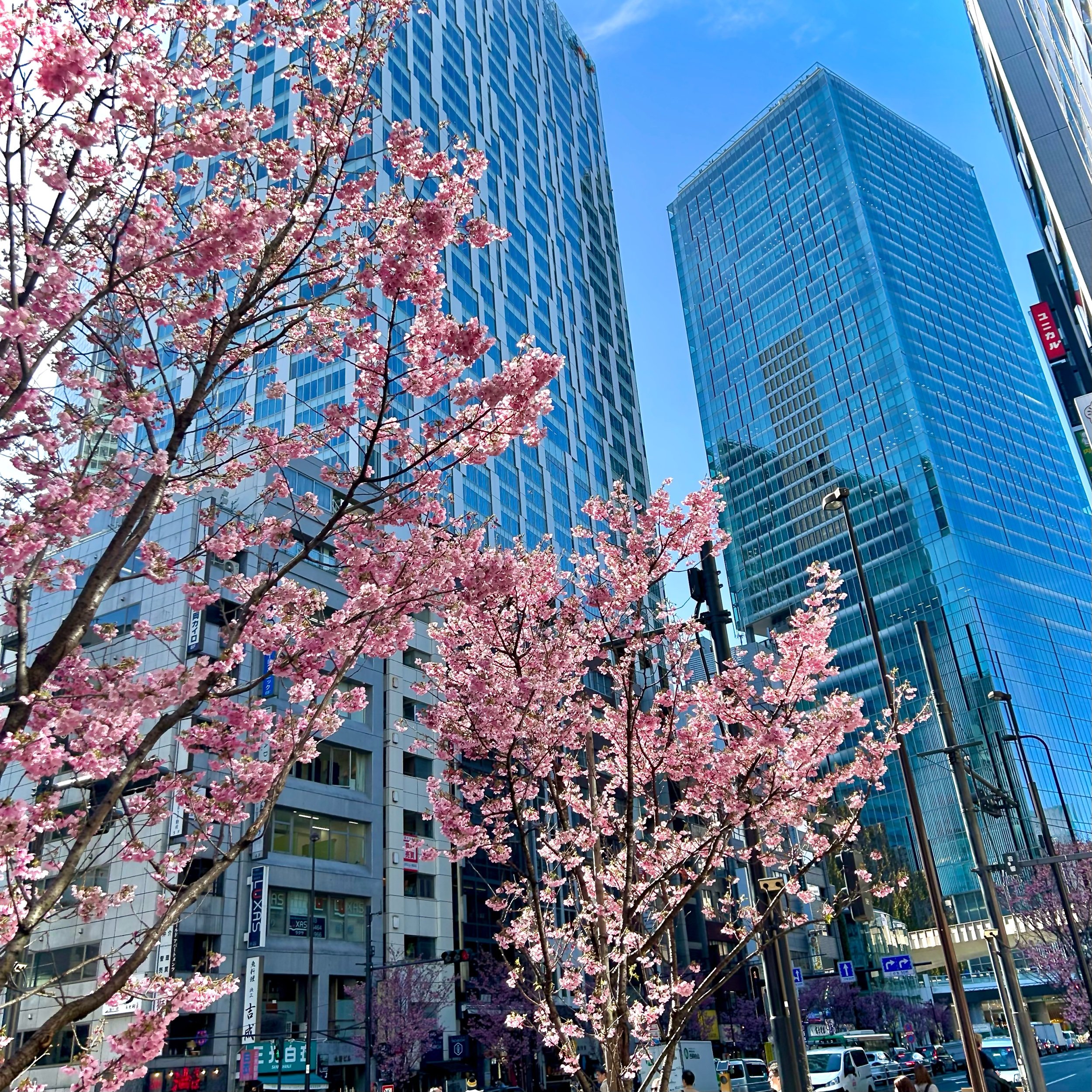 新年度🌸