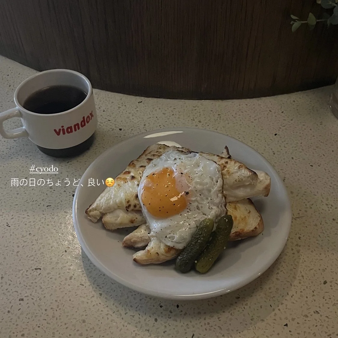 雨の日の休日☔︎