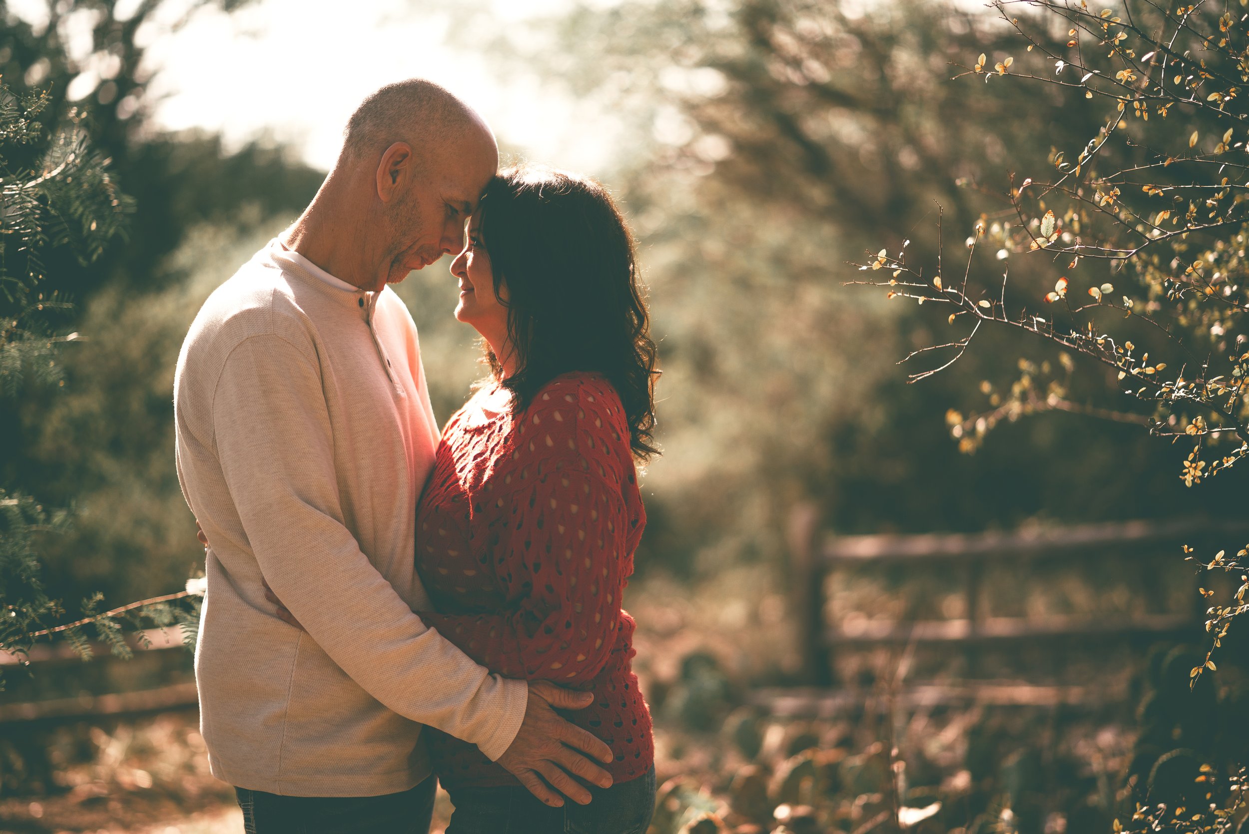 Couple embracing in forest setting, soft lighting.