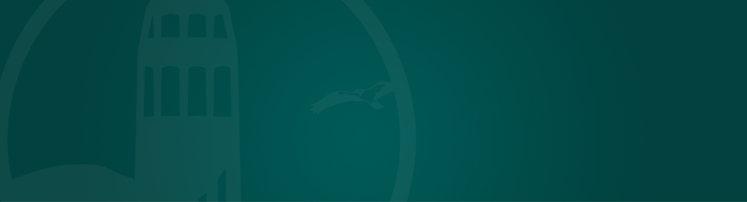 FAQ-Mirador.png