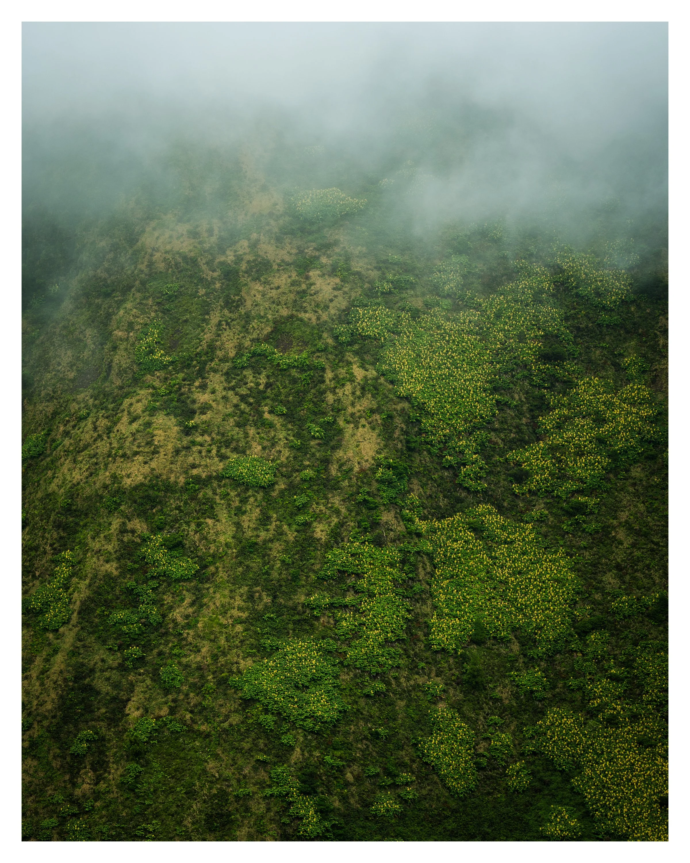 azores mist 1 w border.jpg