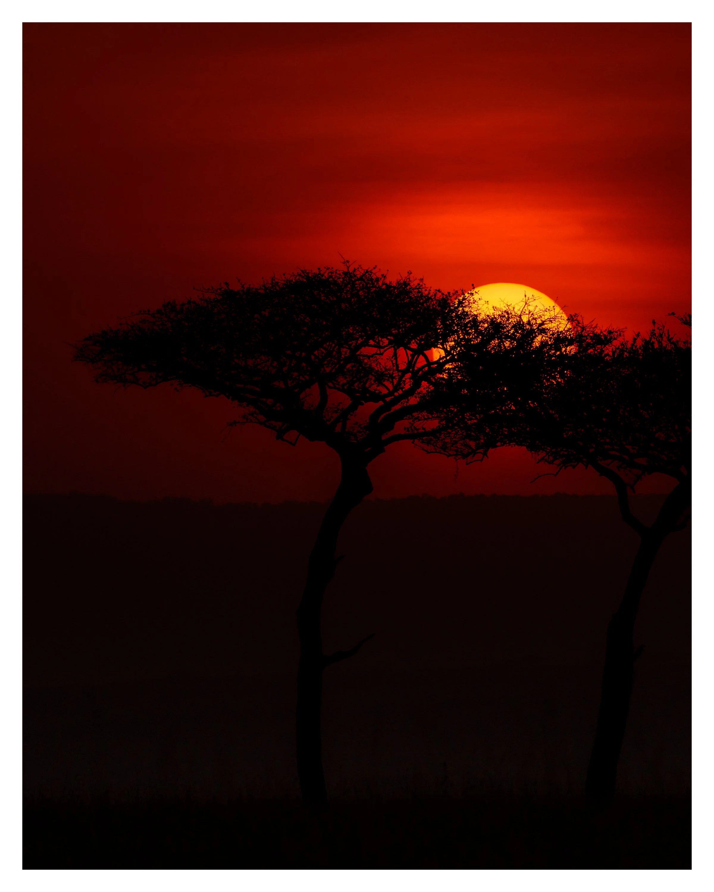 africa sunset 3 w border.jpg