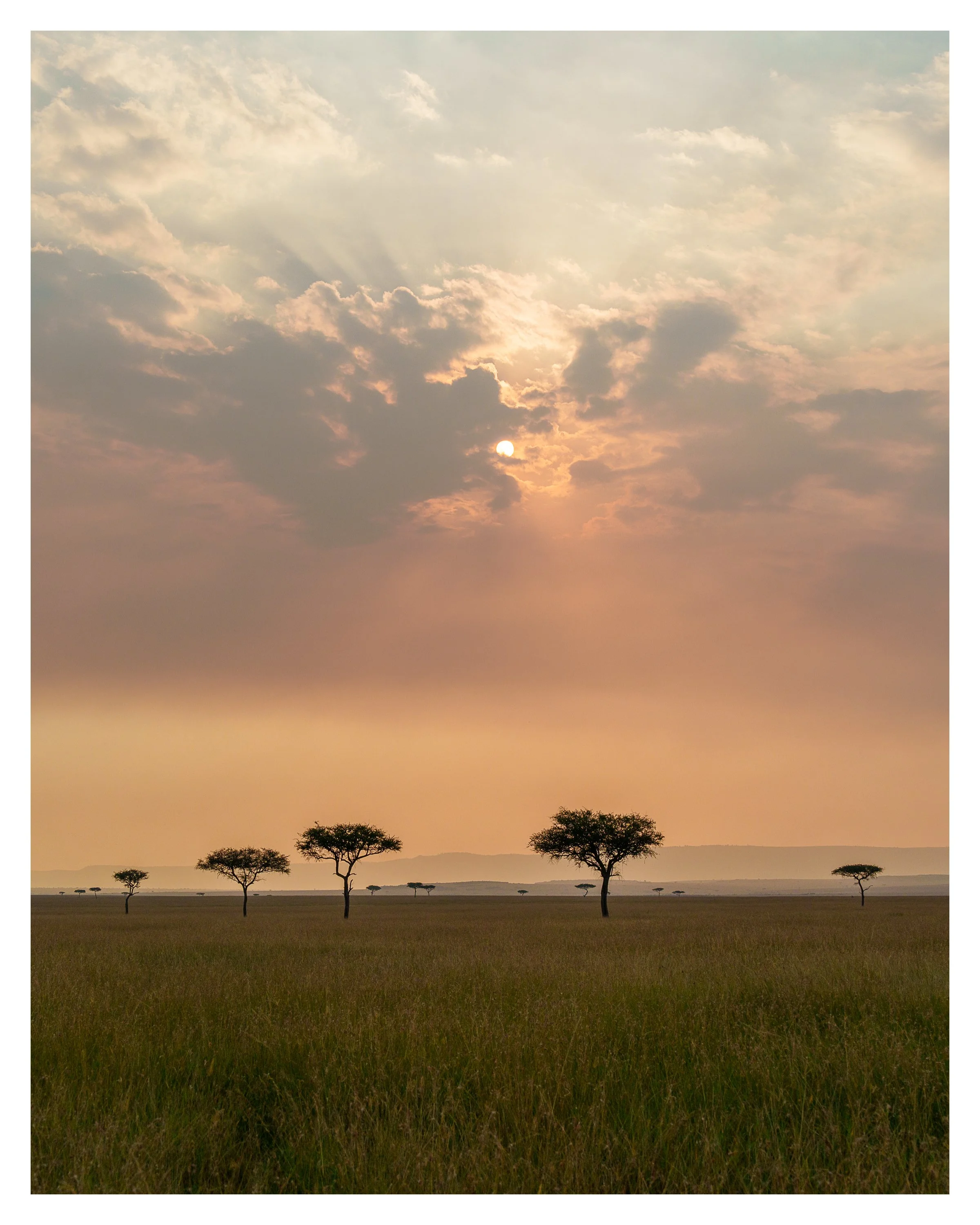 africa sunset 1 w border.jpg