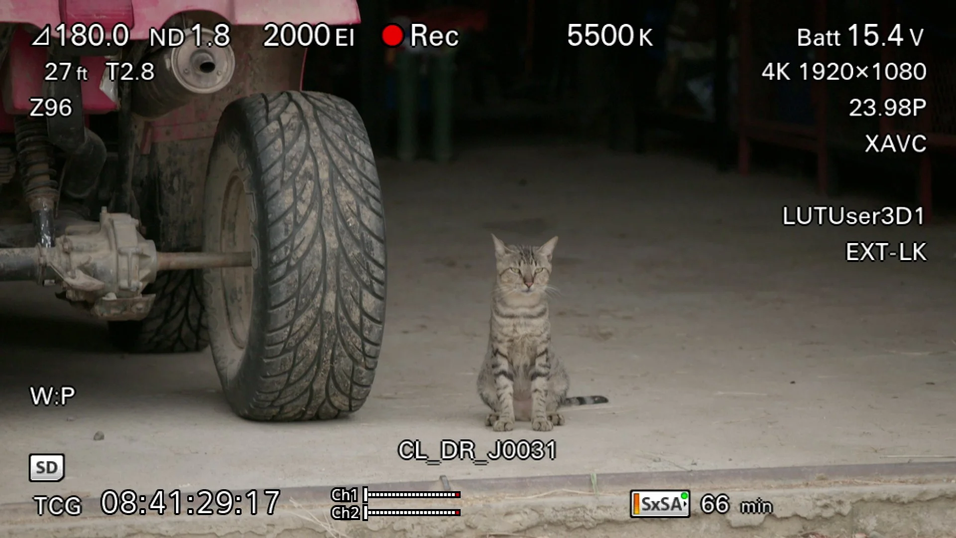 SHD_IMG_0455.jpg