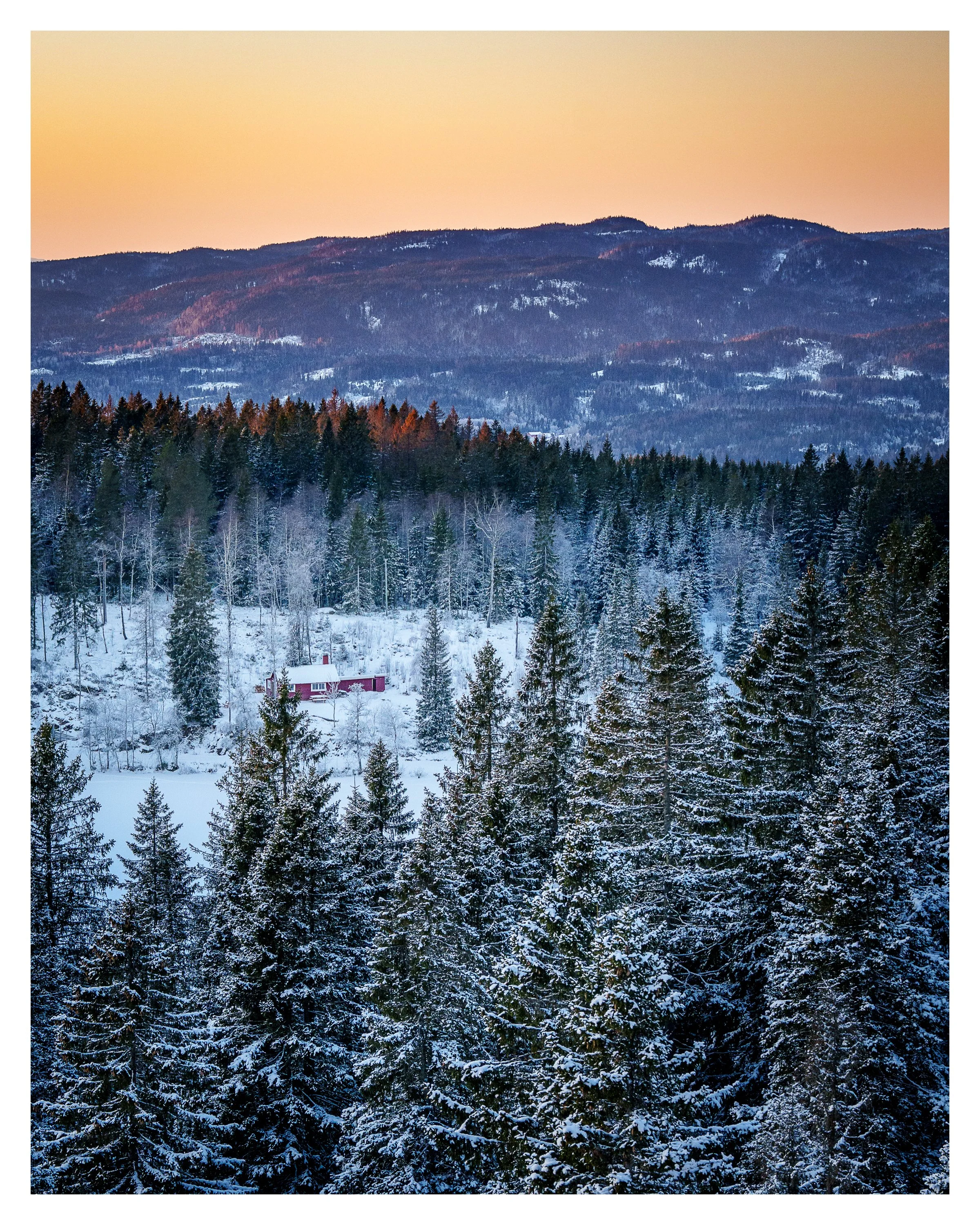 oslo house in woods 1 w border.jpg