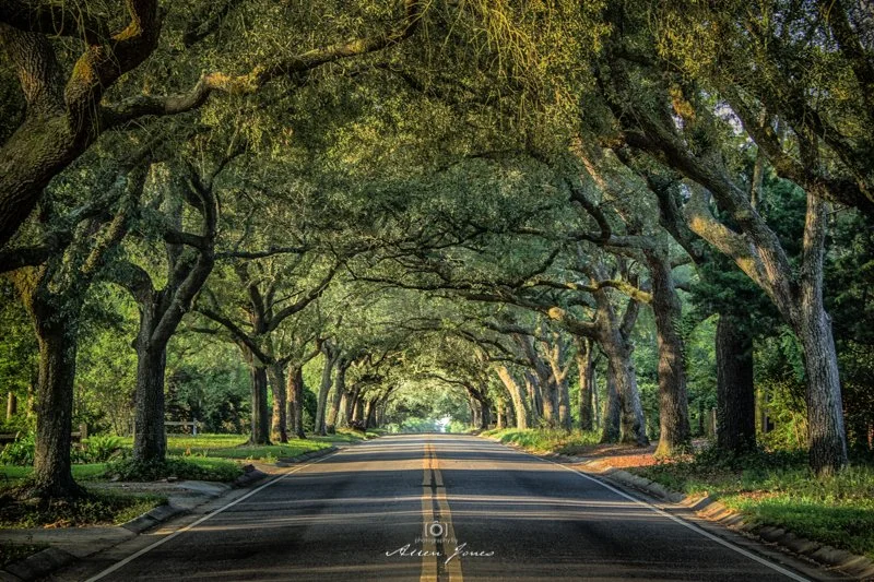 BACKSTORY - 12th Avenue Welcome