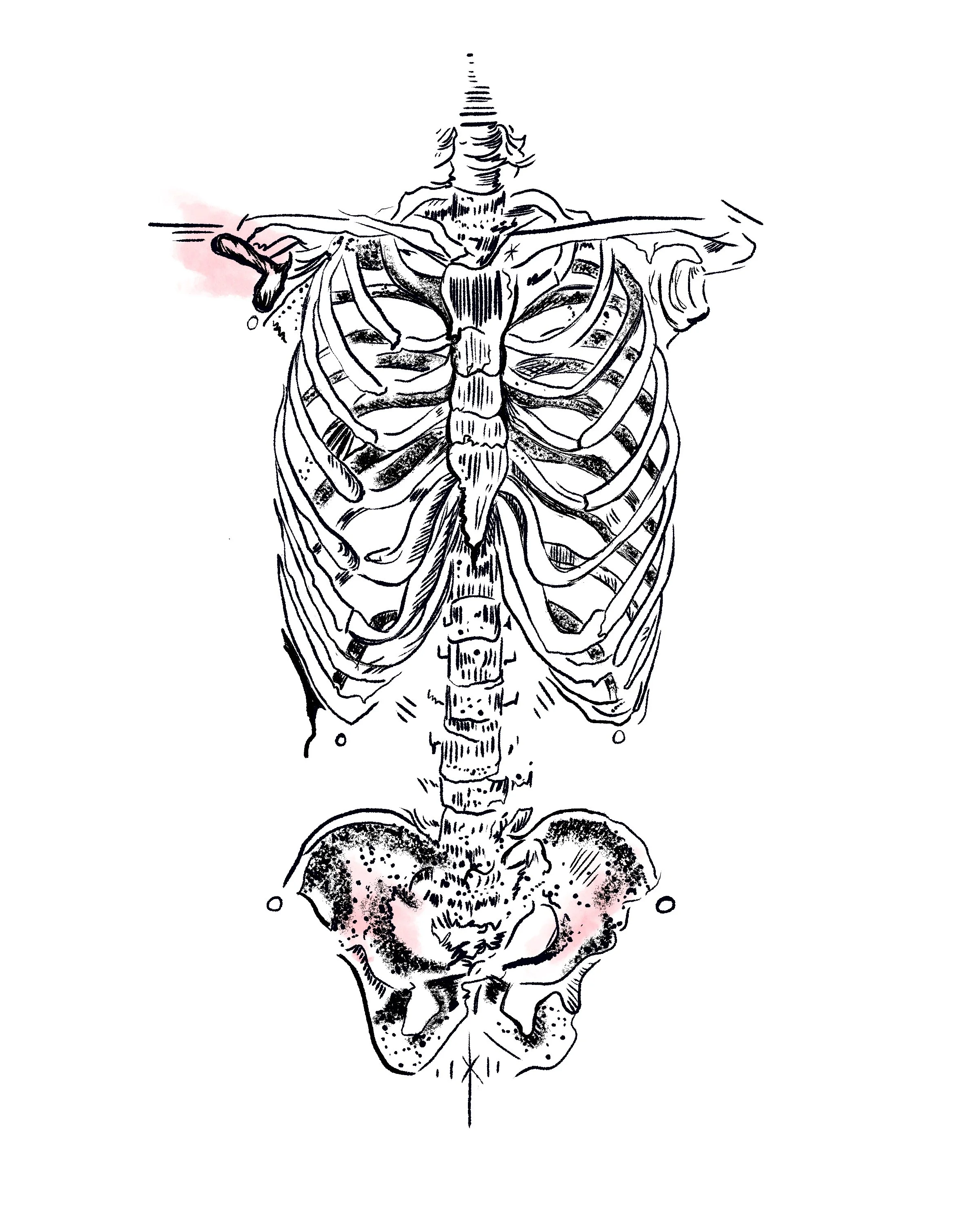 Torso 5x7.jpg
