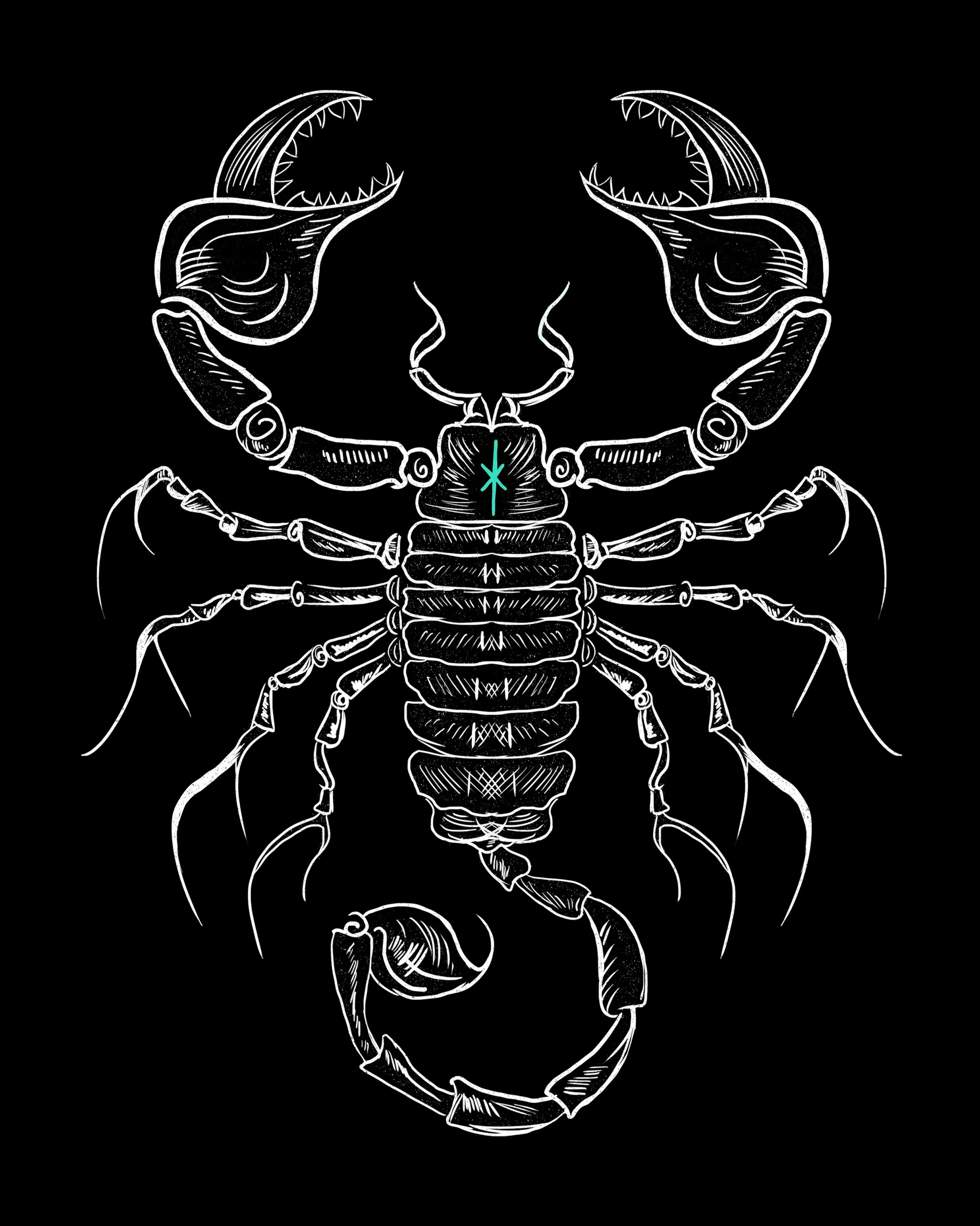 Scorpion.jpg