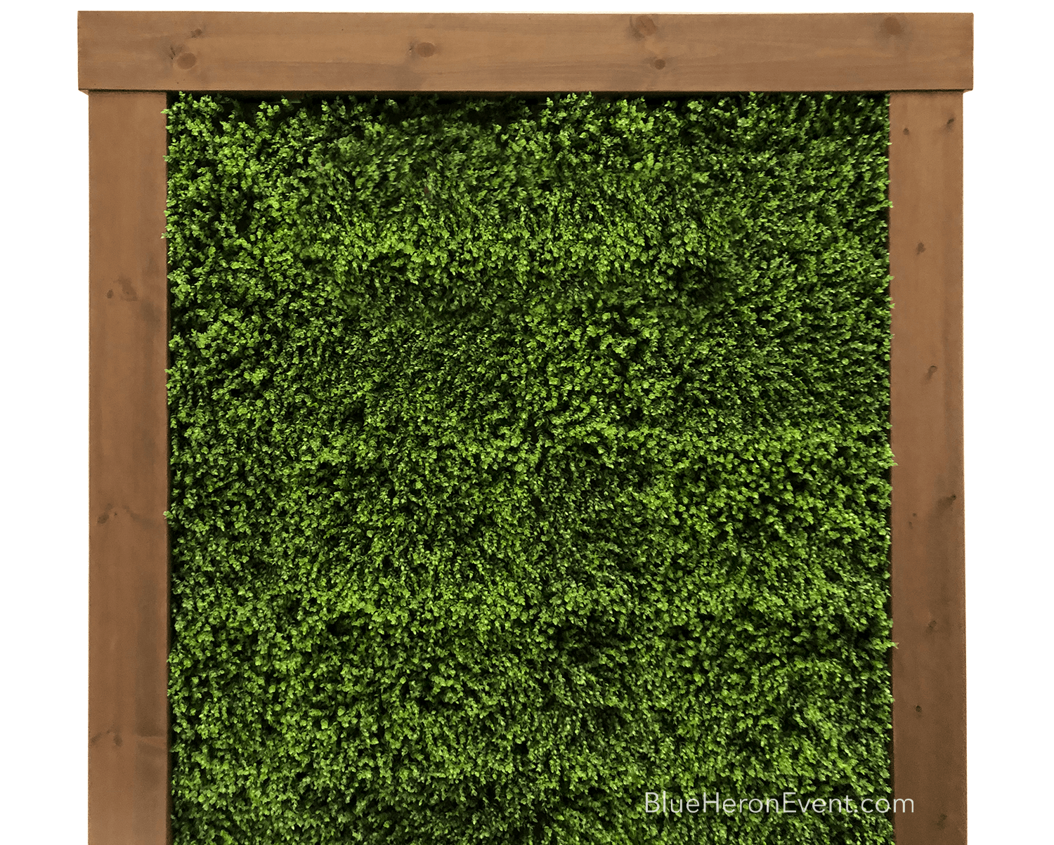 Boxwood Edited No Sign PS WM 1500 - Copy.png