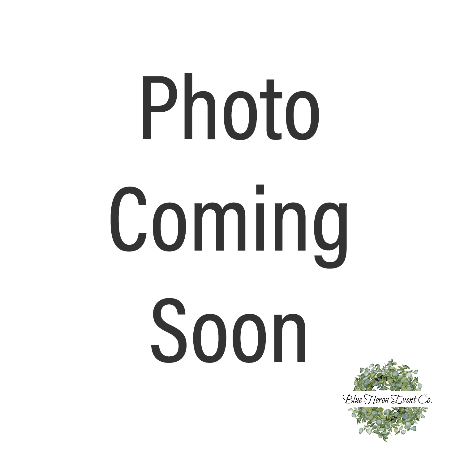 Photo Coming Soon BH 1500.png