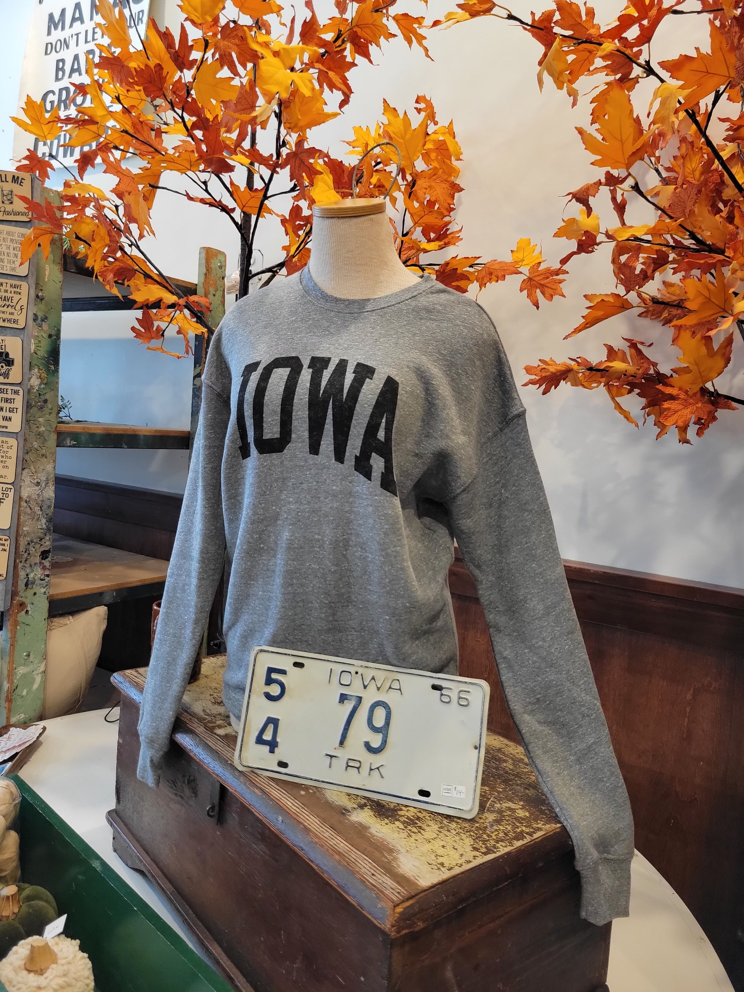 iowa sweatshirt in fall 20240907_141525.jpg