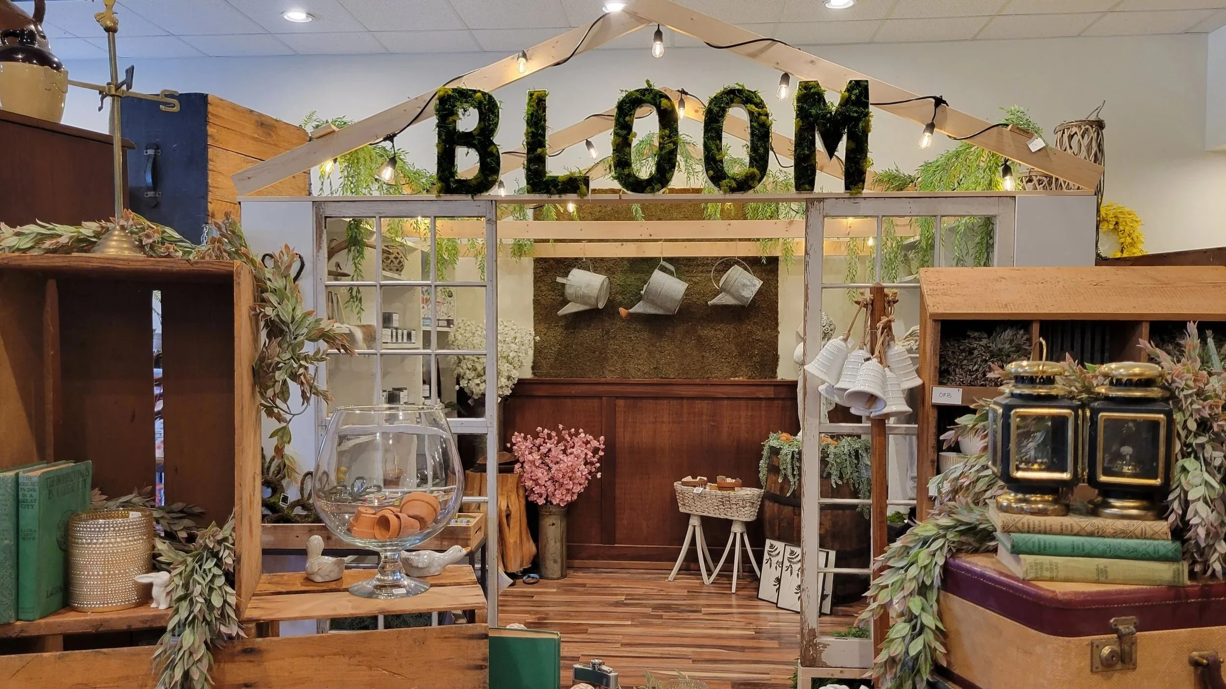 bloom 20250308_155559.jpg