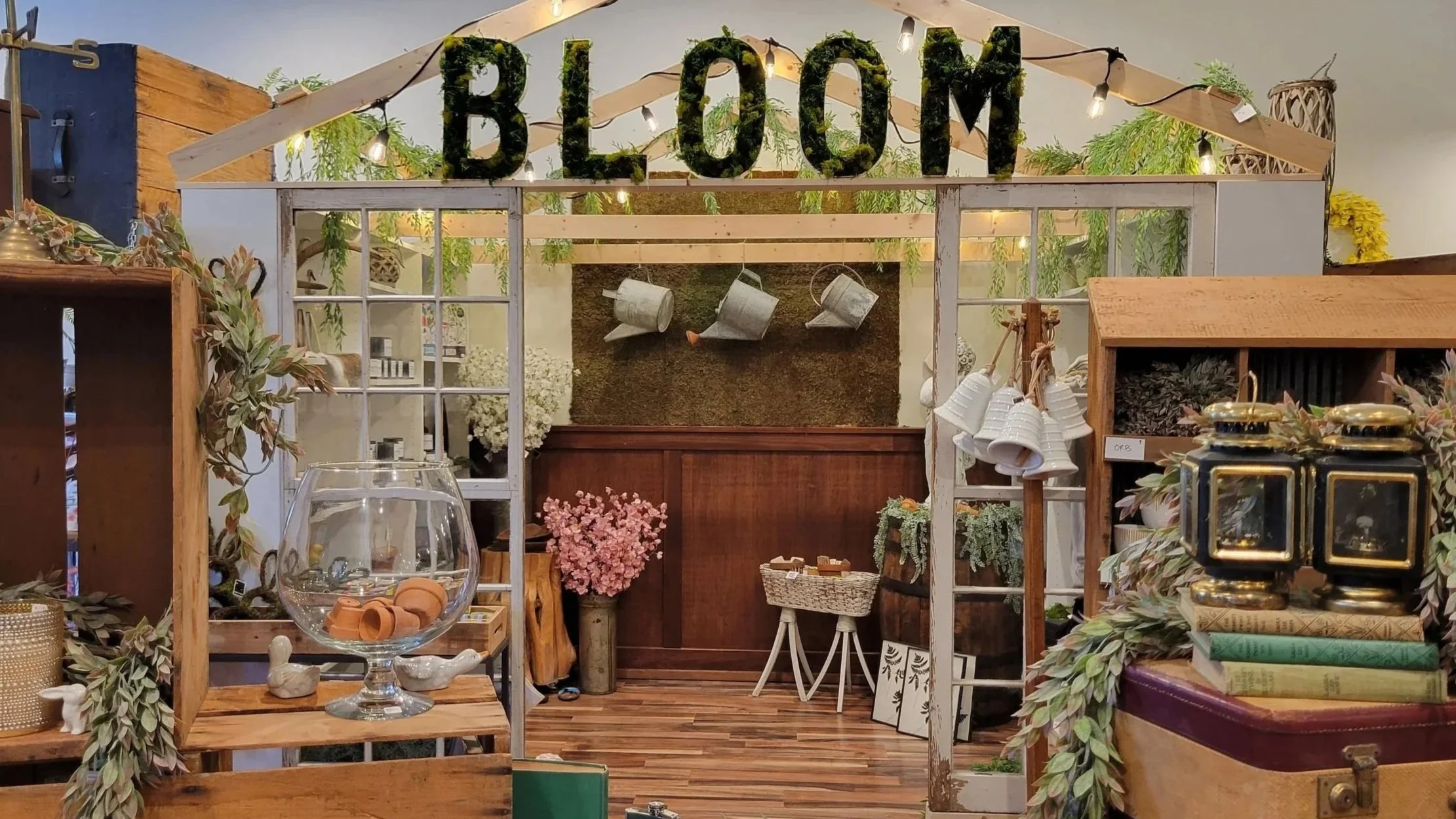 bloom 20250308_155559.jpg