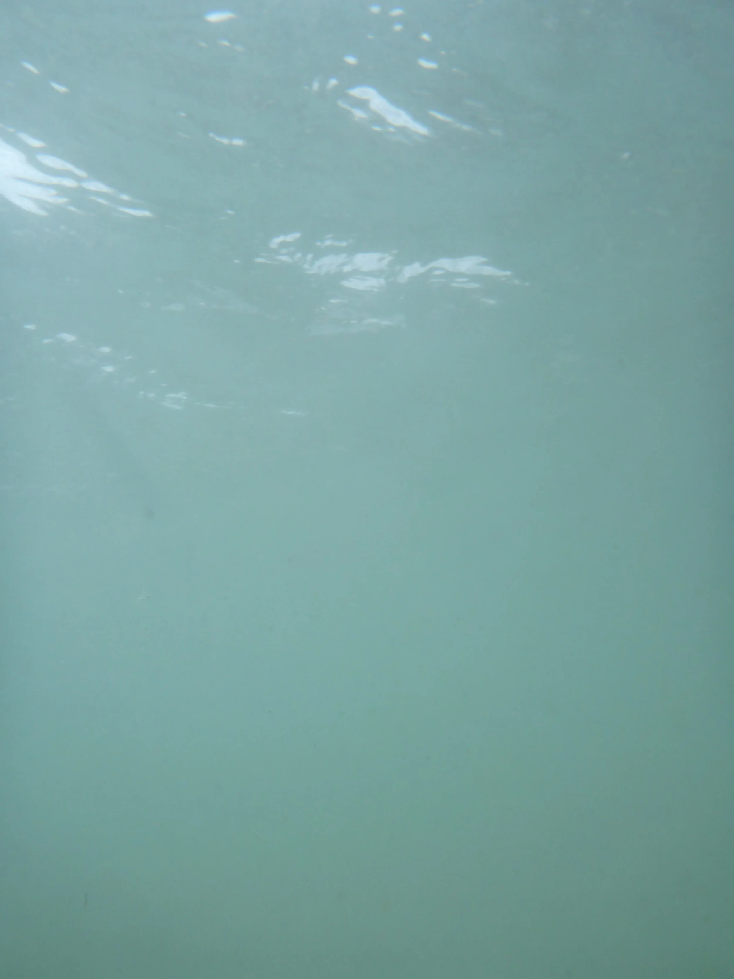May 25, 2015 #166.JPG
