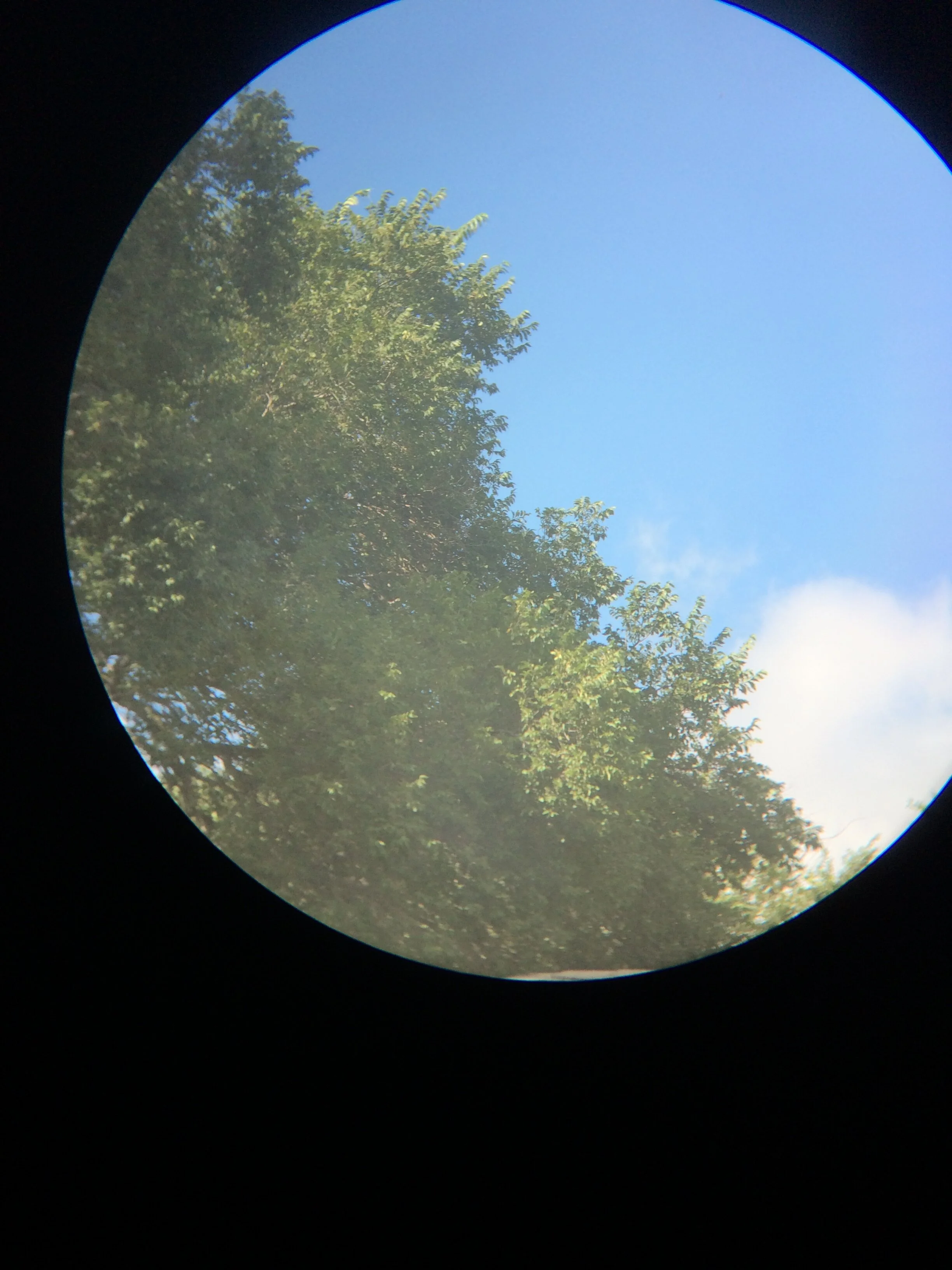 OcularPhotograph-310.JPG