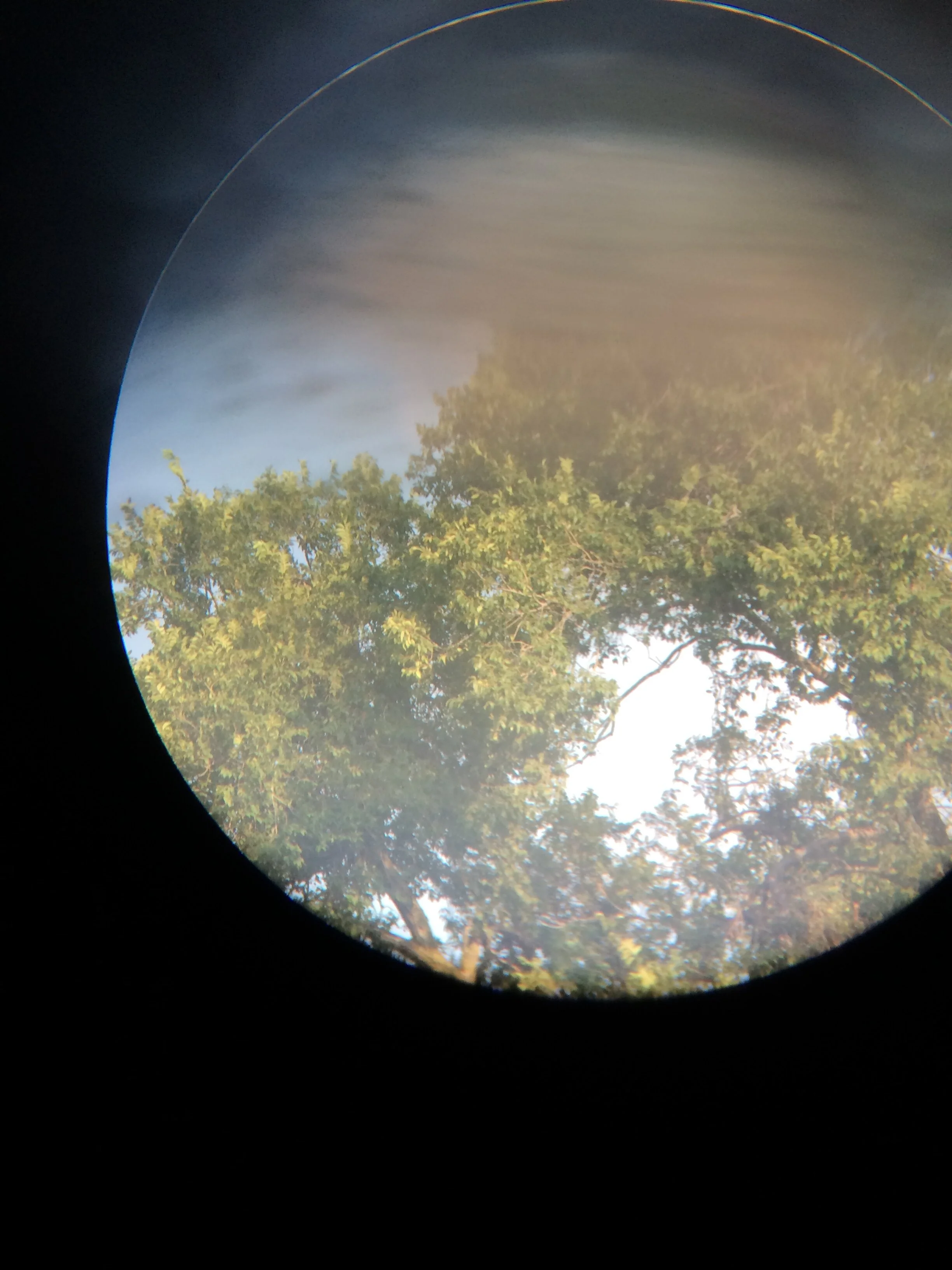 OcularPhotograph-333.JPG