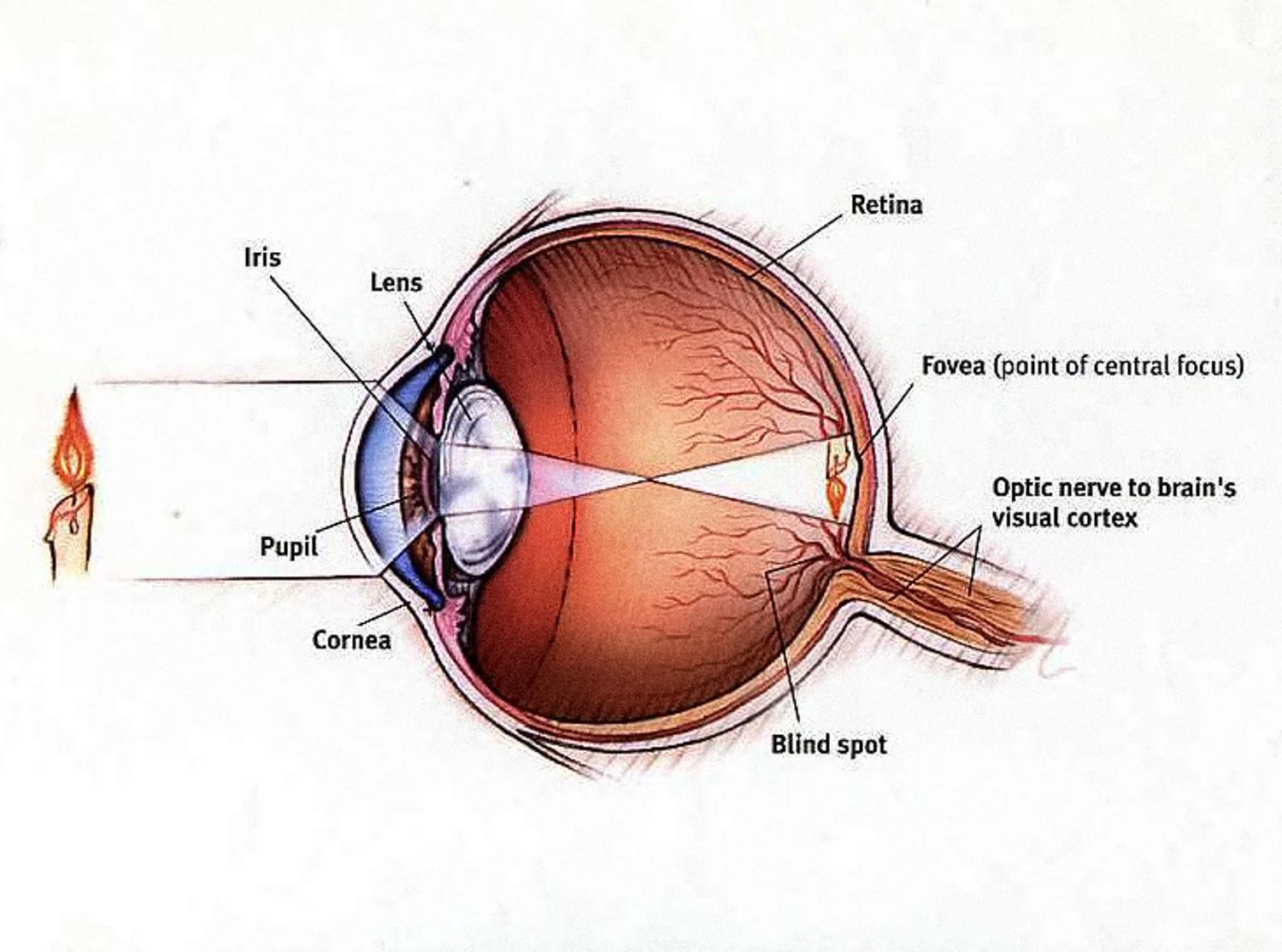 eye_diagram-2.jpg