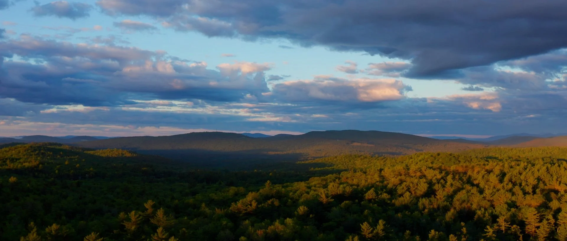 Stifler Family Foundation Landscape Drone.jpg