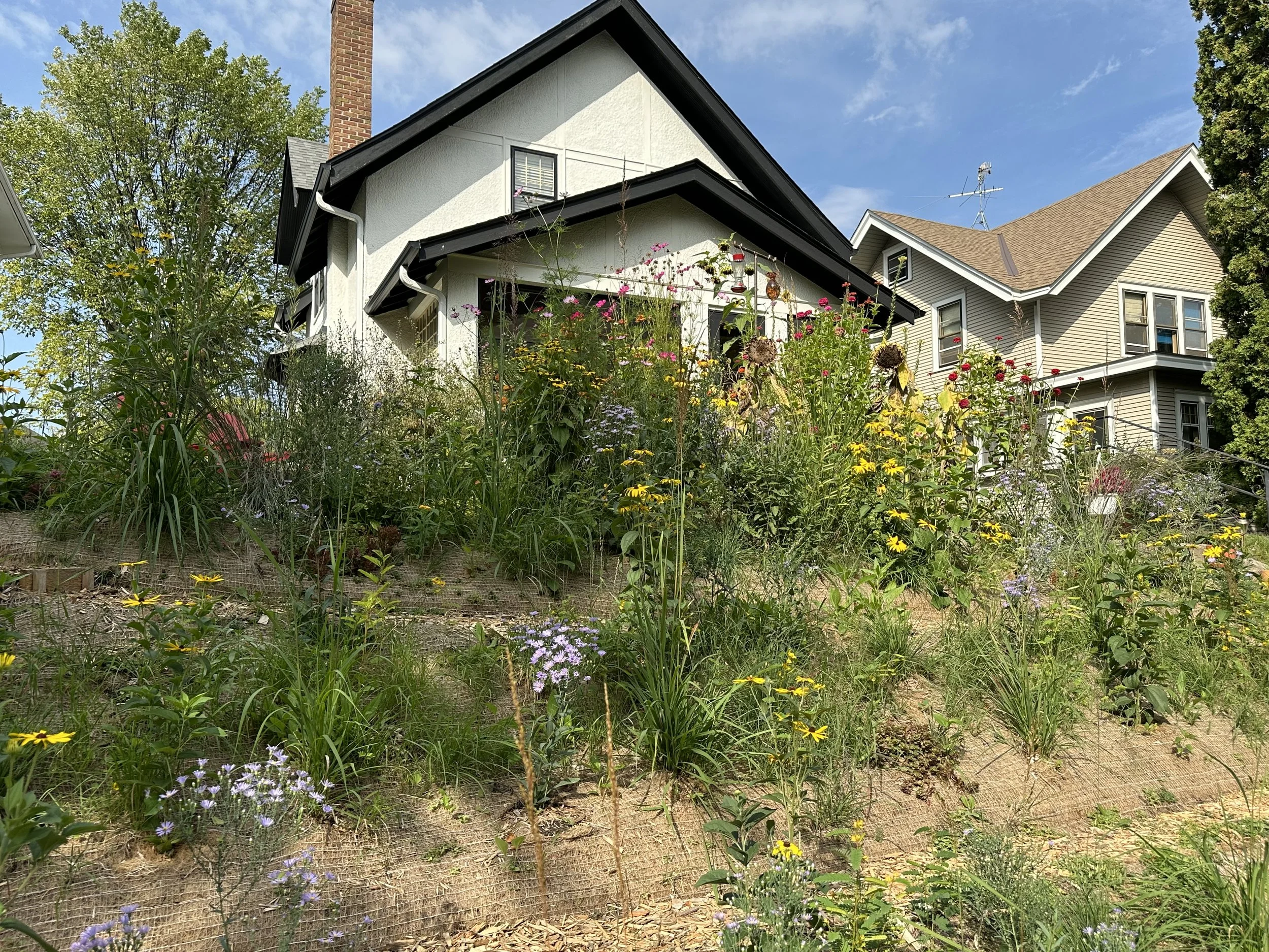 The Hill: A Prairie Landscape