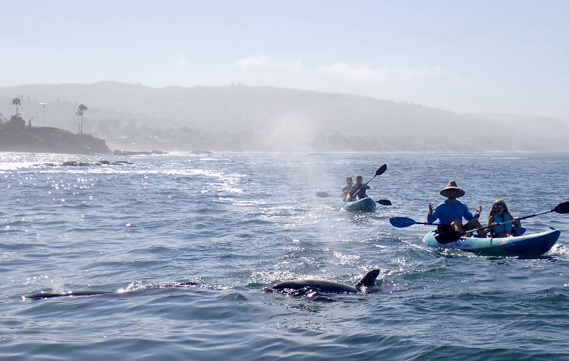 kayak laguna beach.PNG